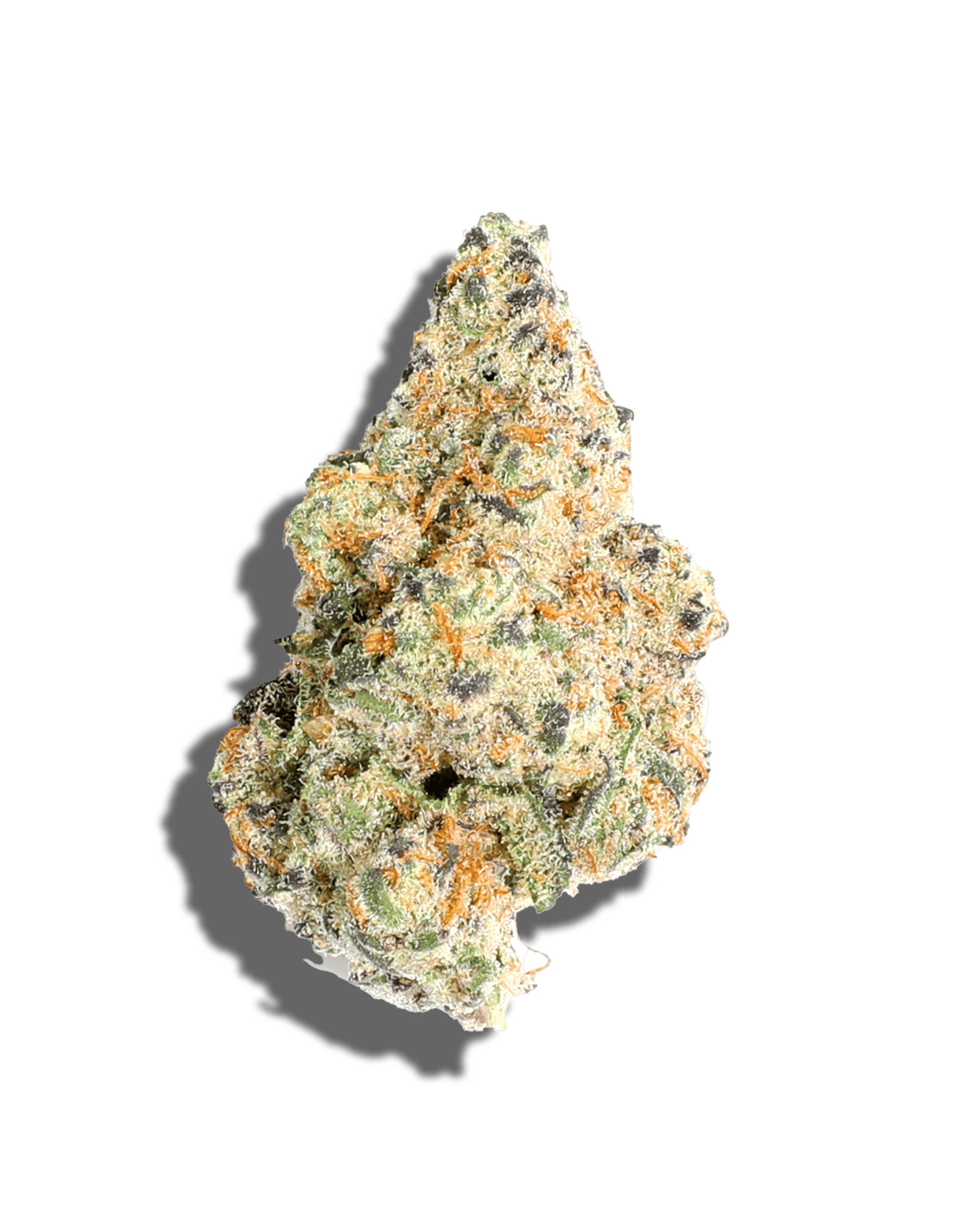Glitter Bomb 1oz