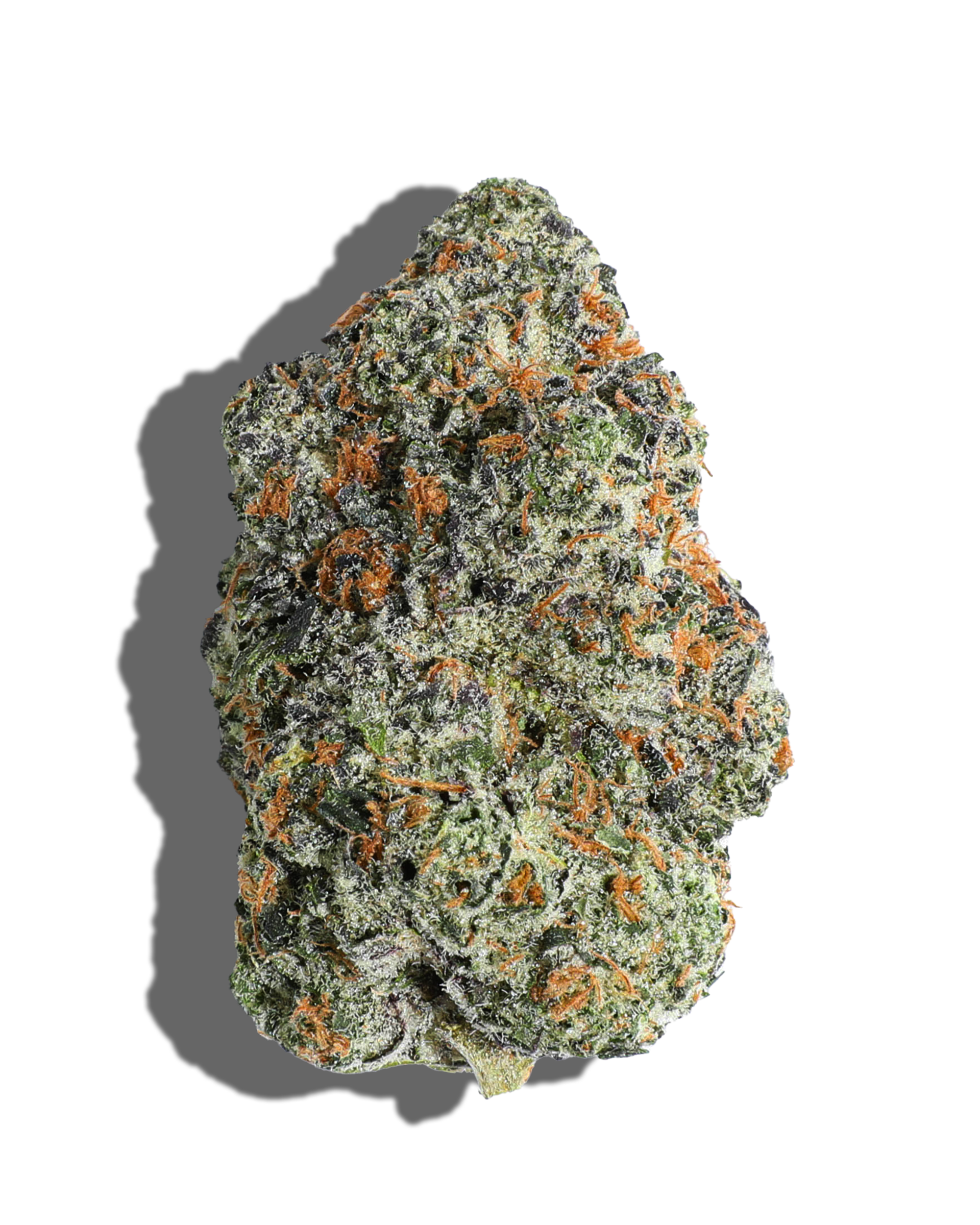 GMO Crasher Flower