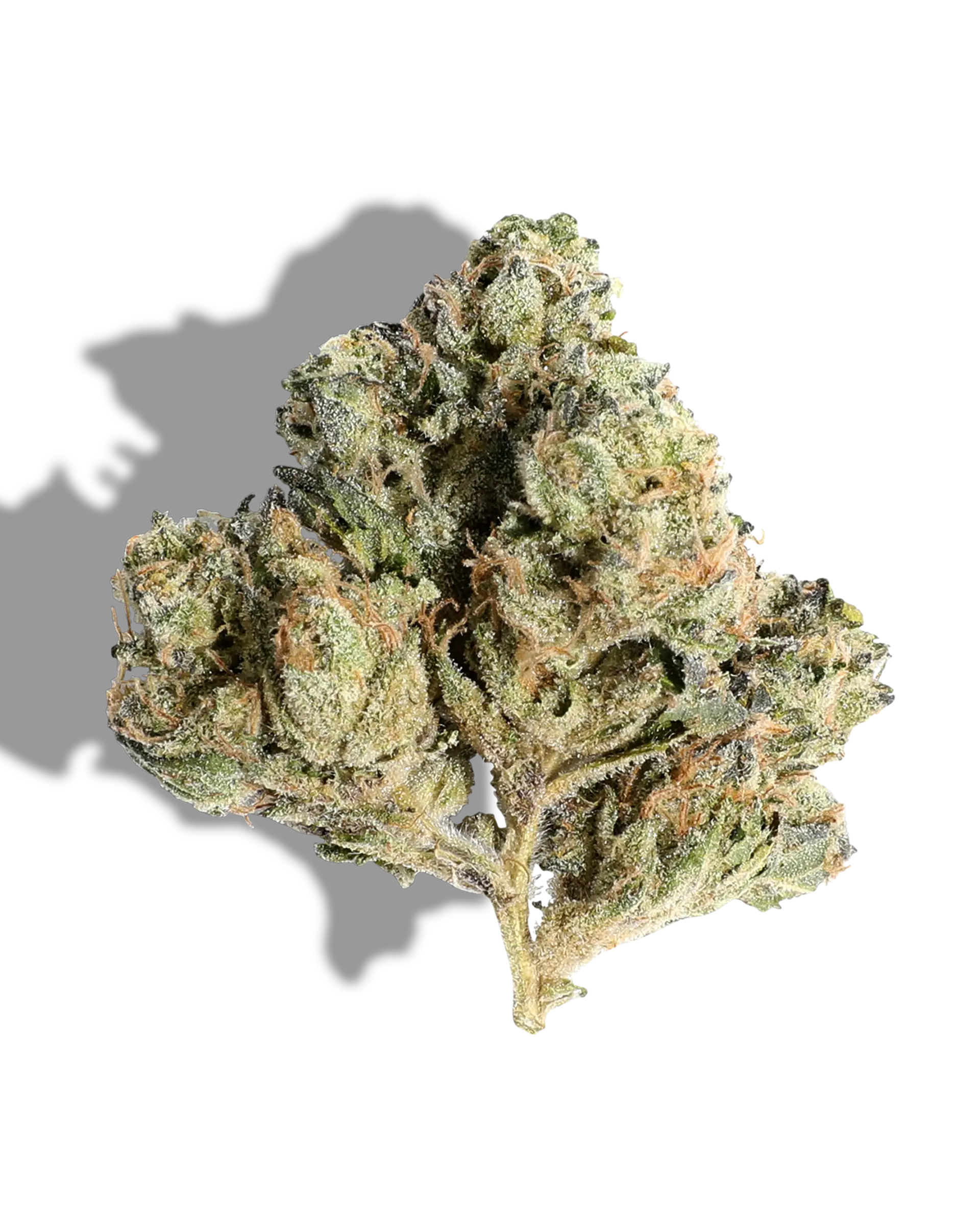 Headbanger 1oz  Lume Cannabis Co. - Michigan's Largest Cannabis