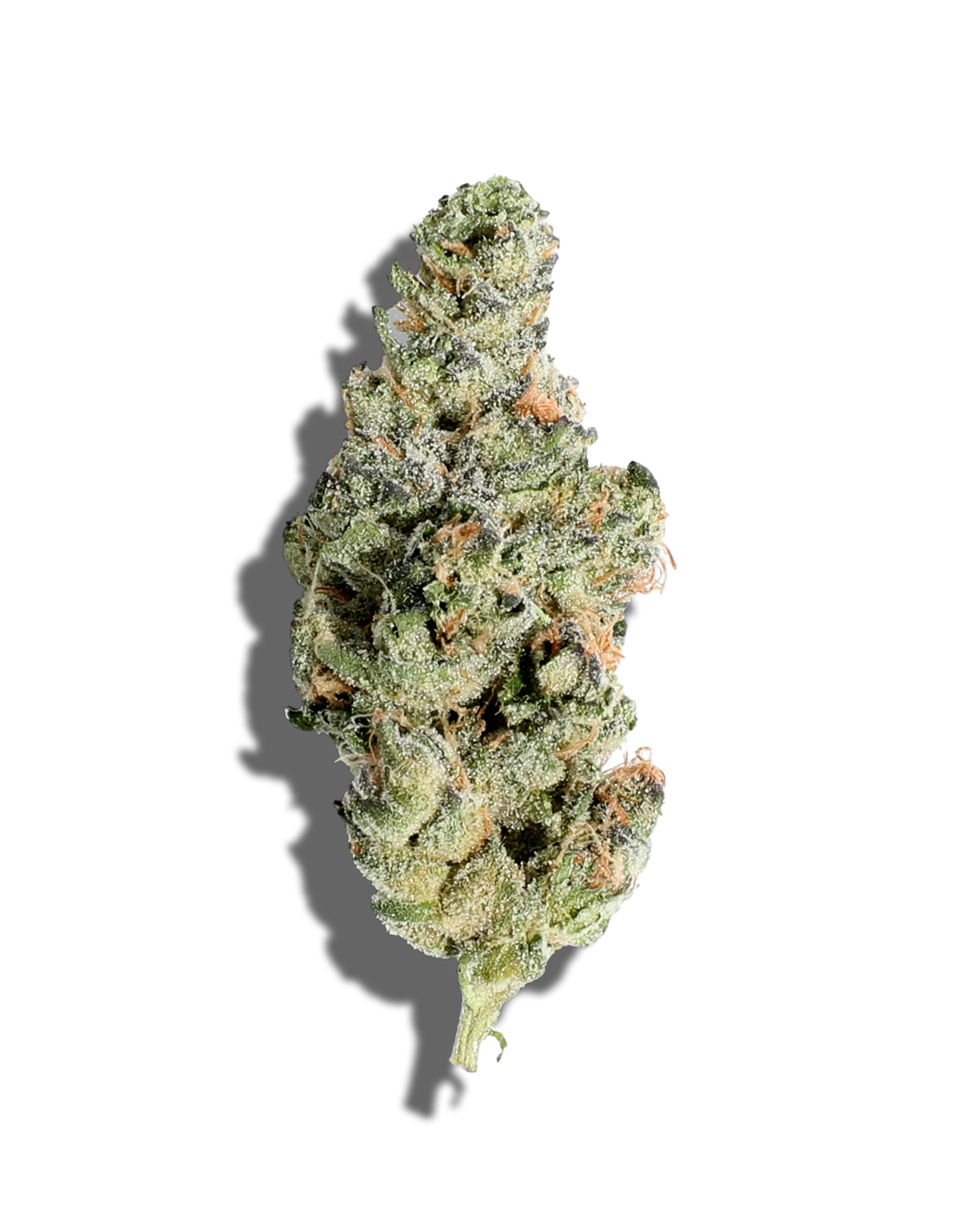 Terp Alert: Dosidos 3.5g