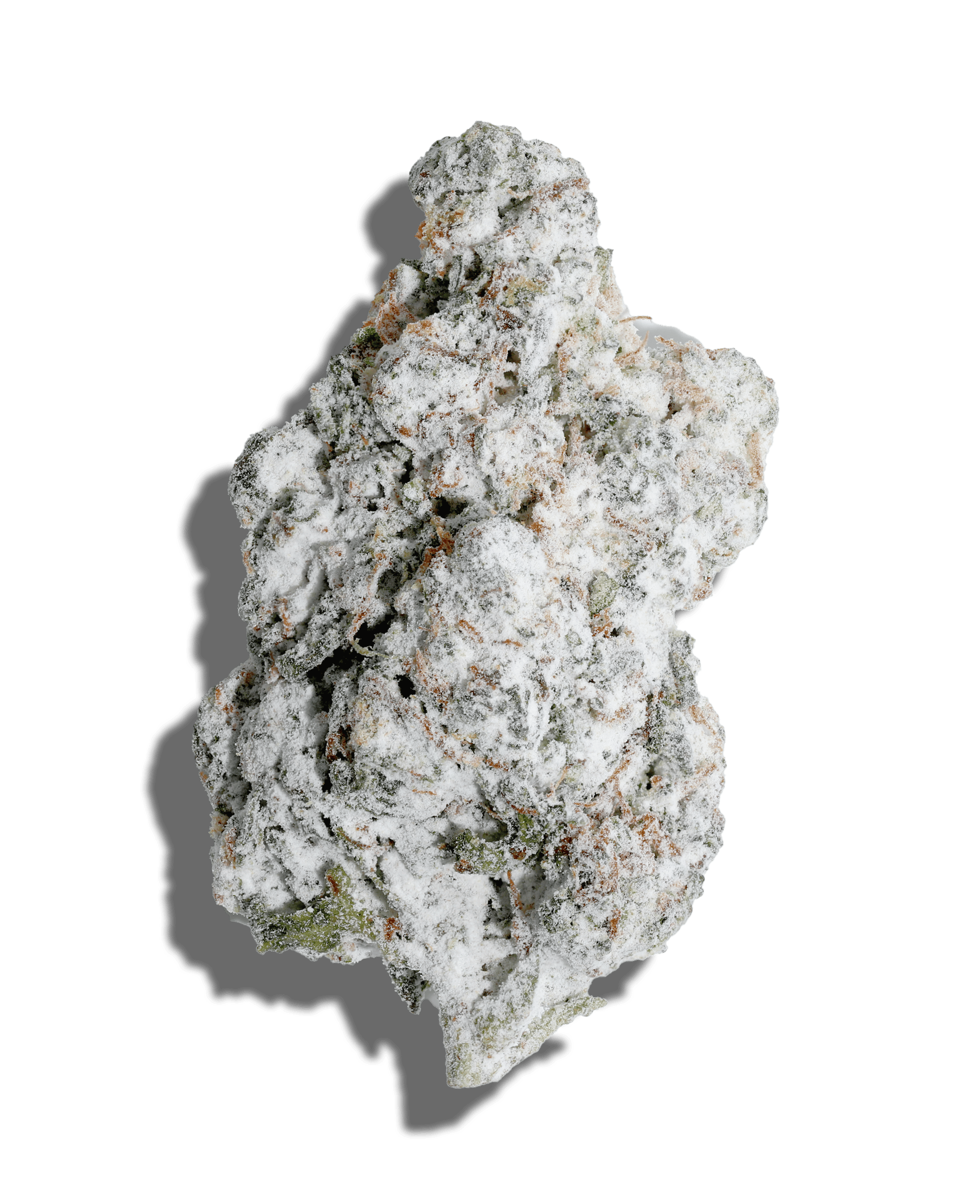 Jenny Kush X Dirty Laundry Amp'd Live Resin Infused Flower 5g