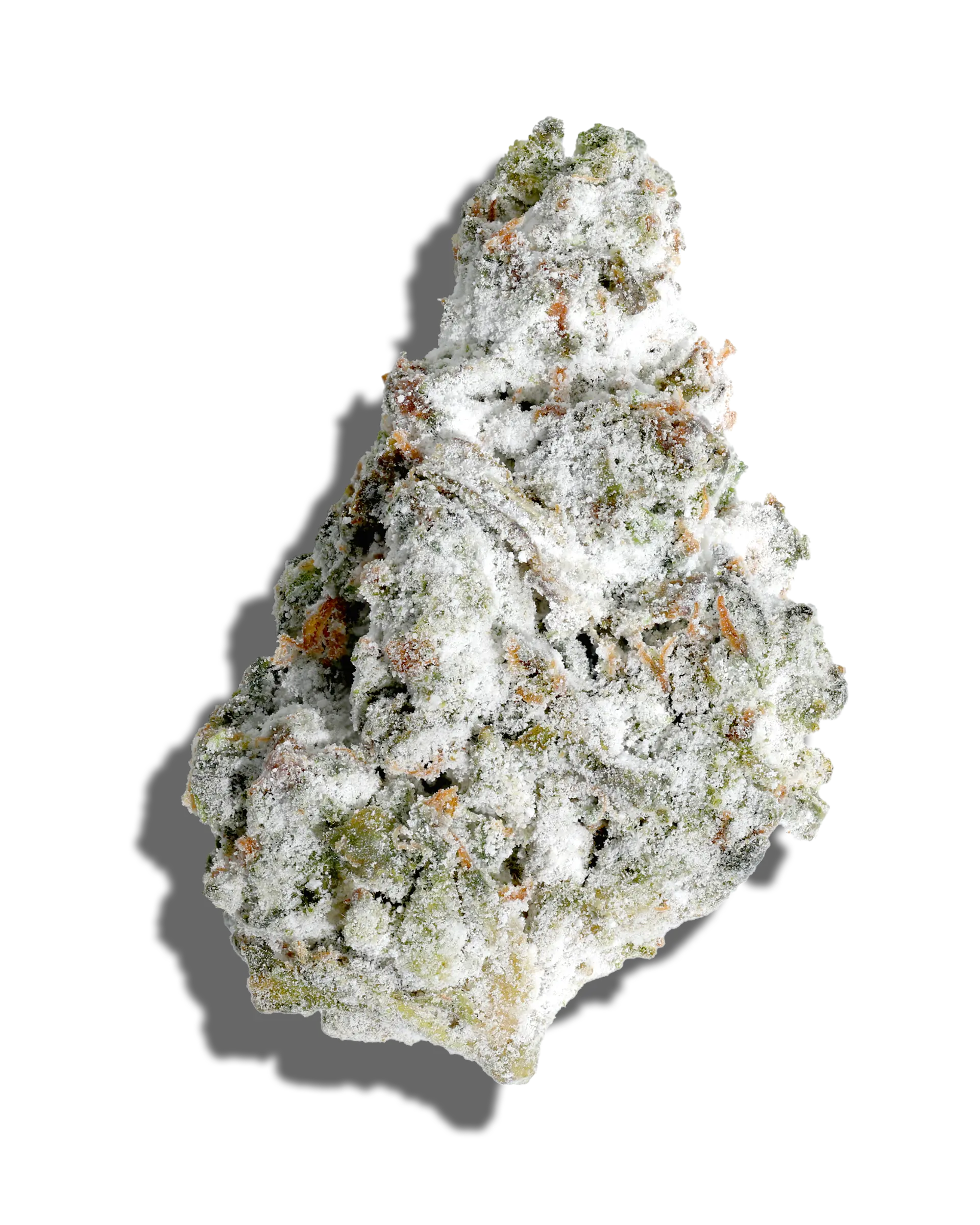 Rainbow Guava X Sherb Cream Pie Amp'd Live Resin Infused Flower 5g