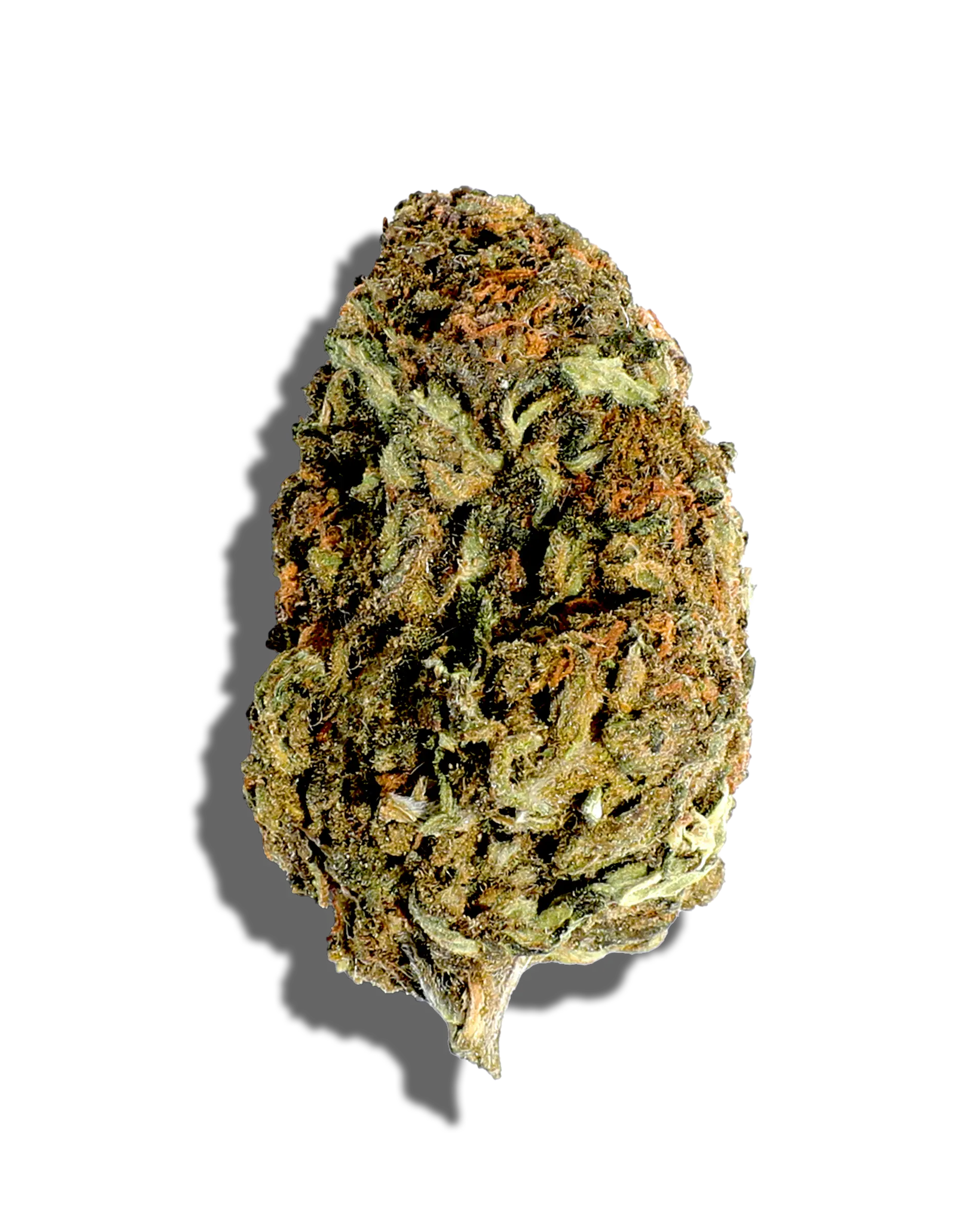 Sunkissed Orange Cream Pop 3.5g