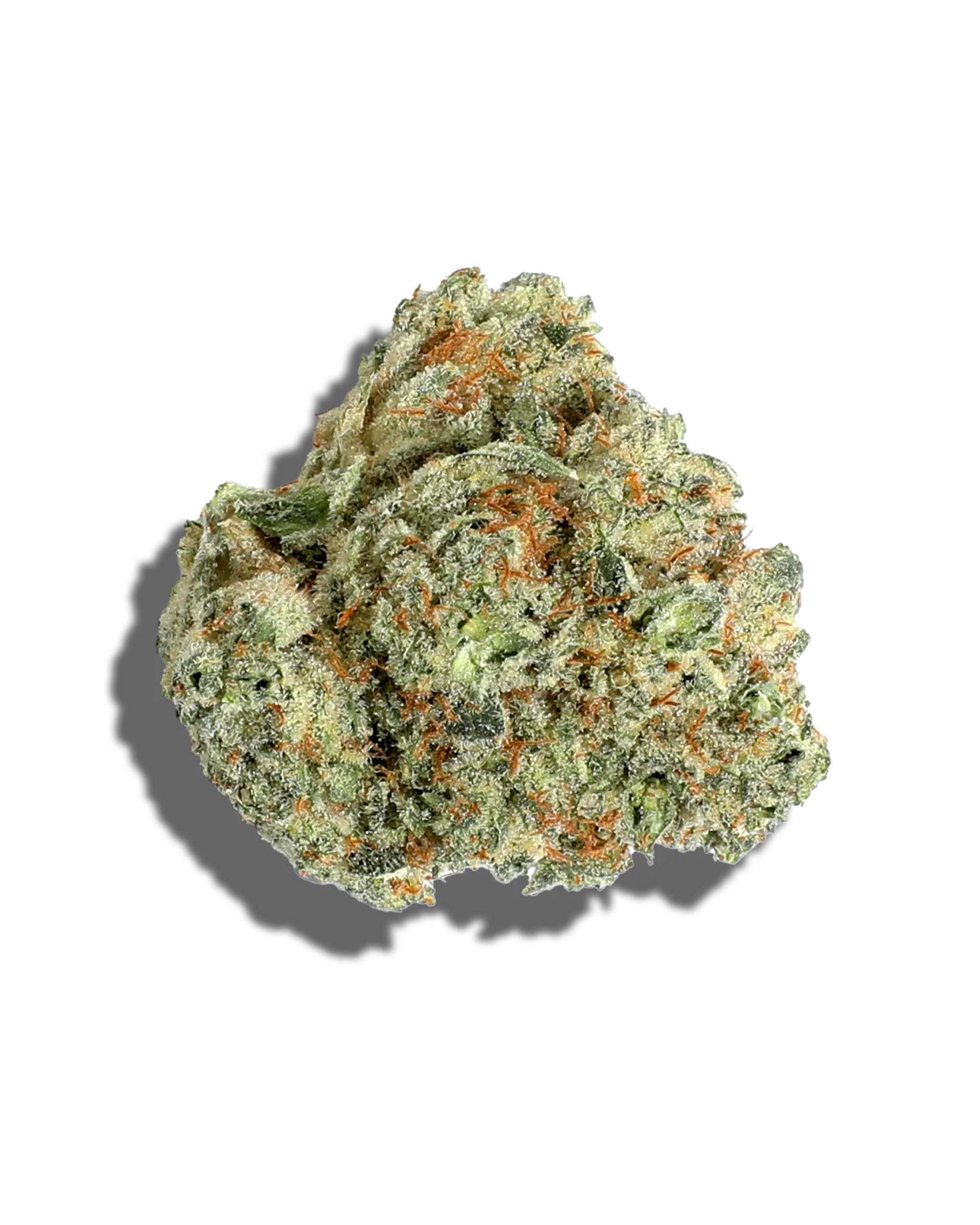 Glue Cheese 1oz