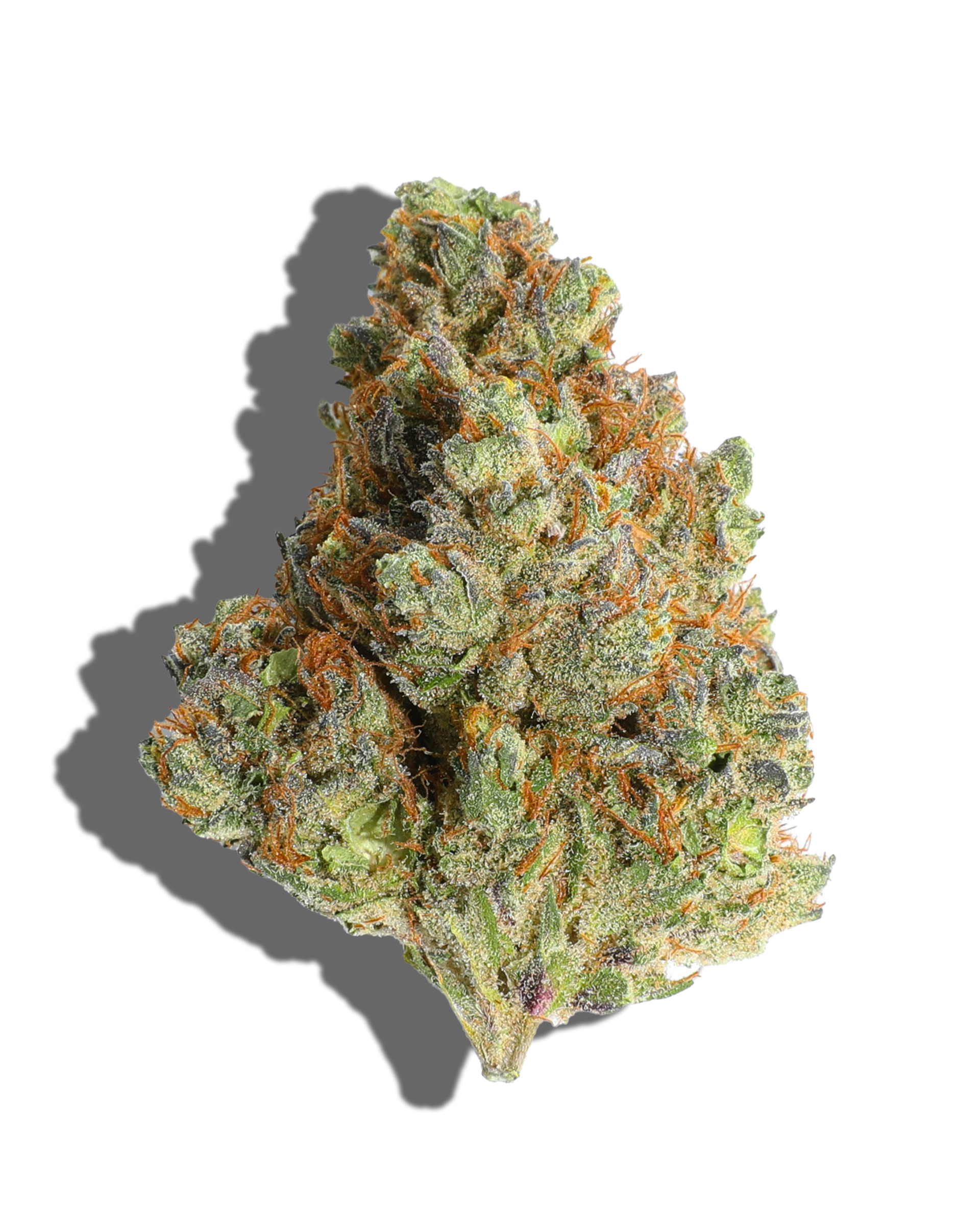 Cakey Lemons Flower