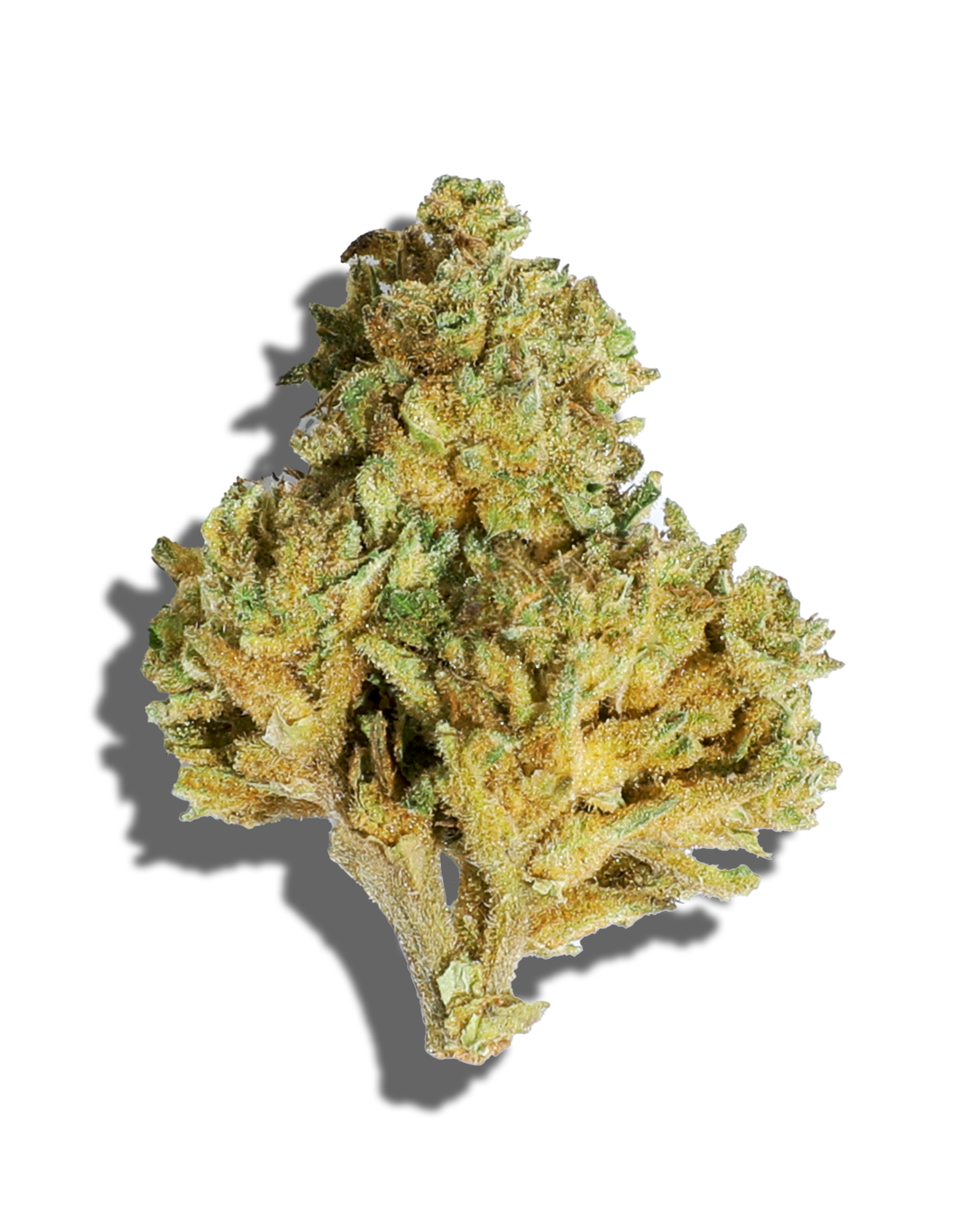 Sungrown Sour Wulff 3.5g, 1 of 3