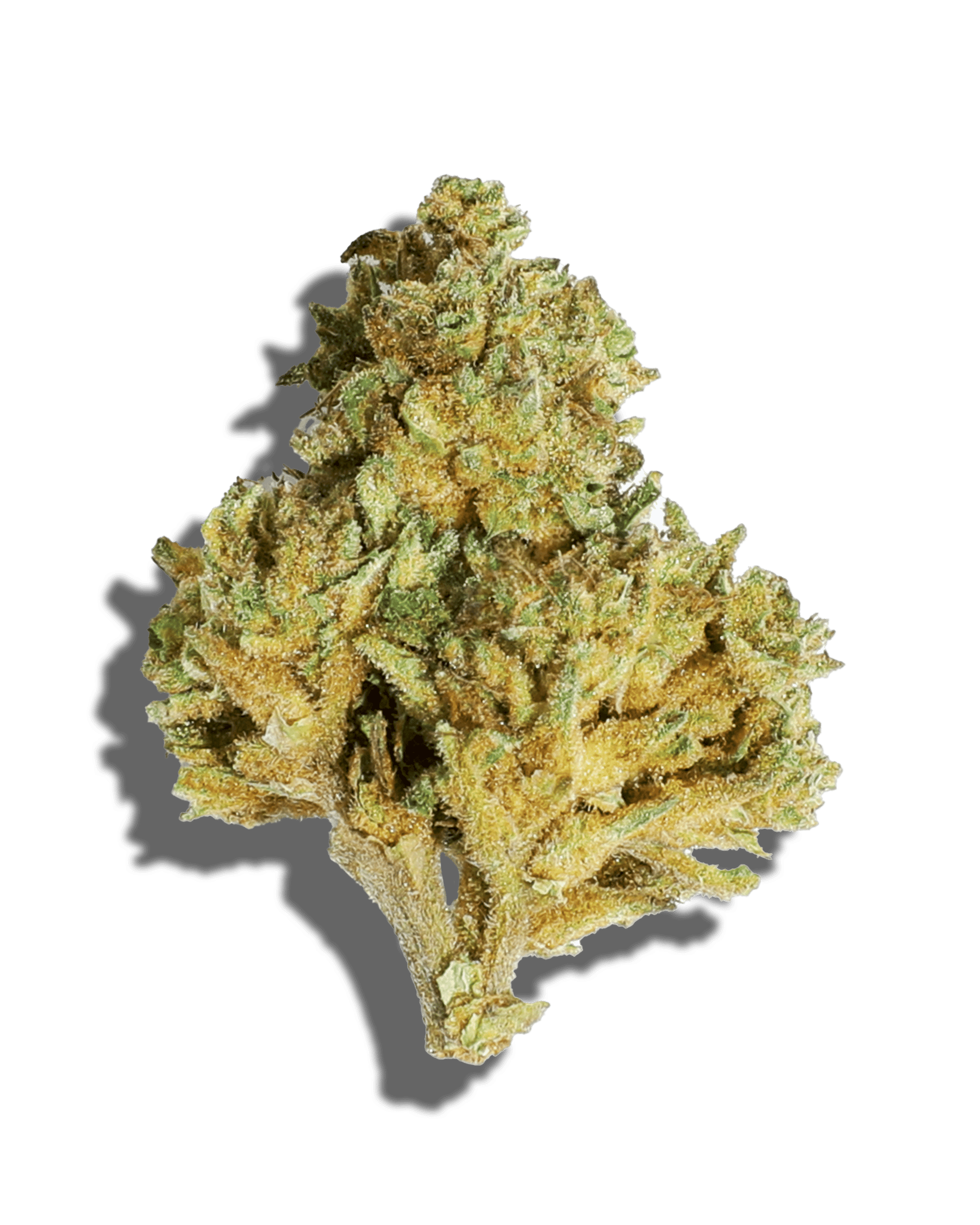 Sungrown Sour Wulff 3.5g