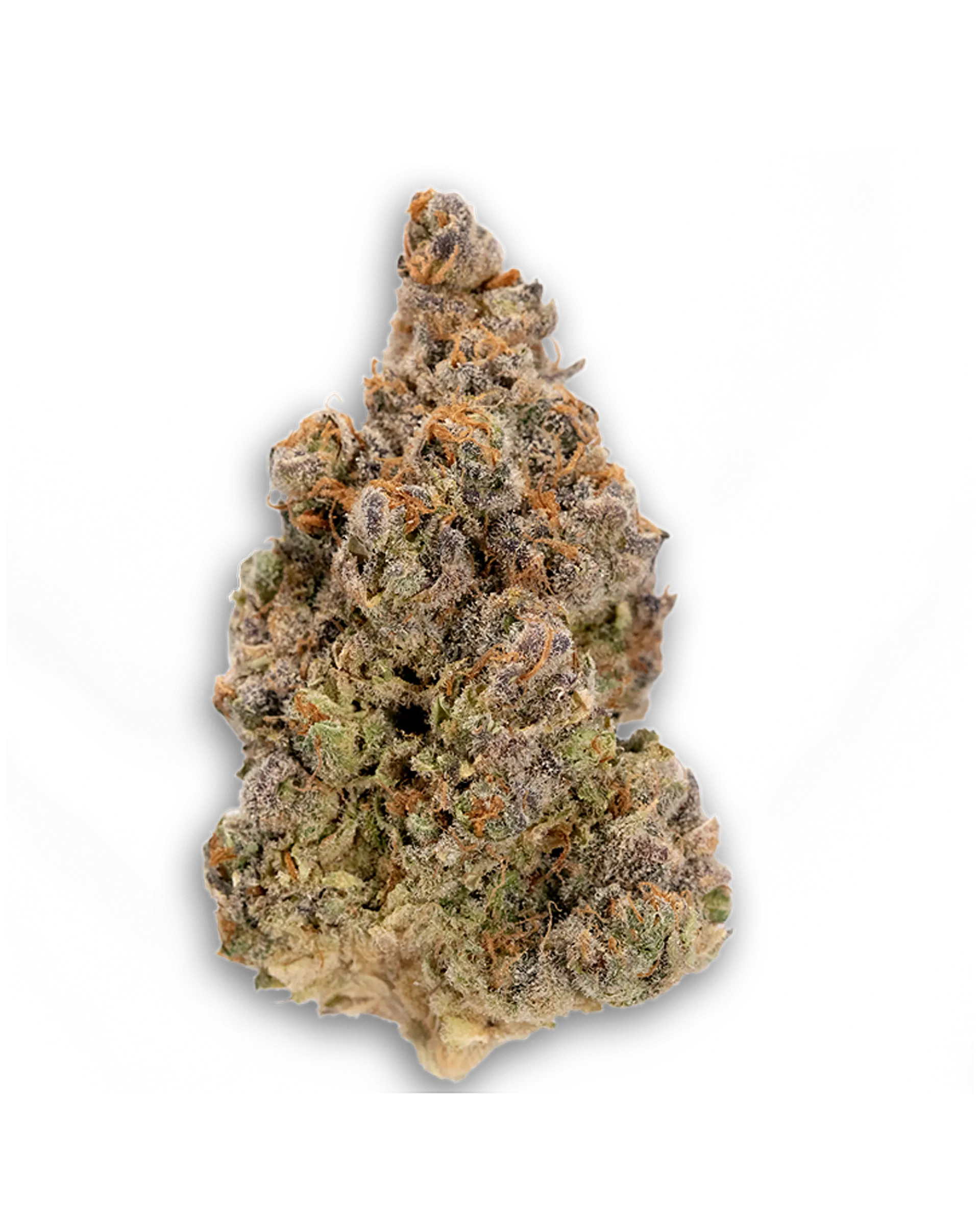 Black Lime Reserve Flower