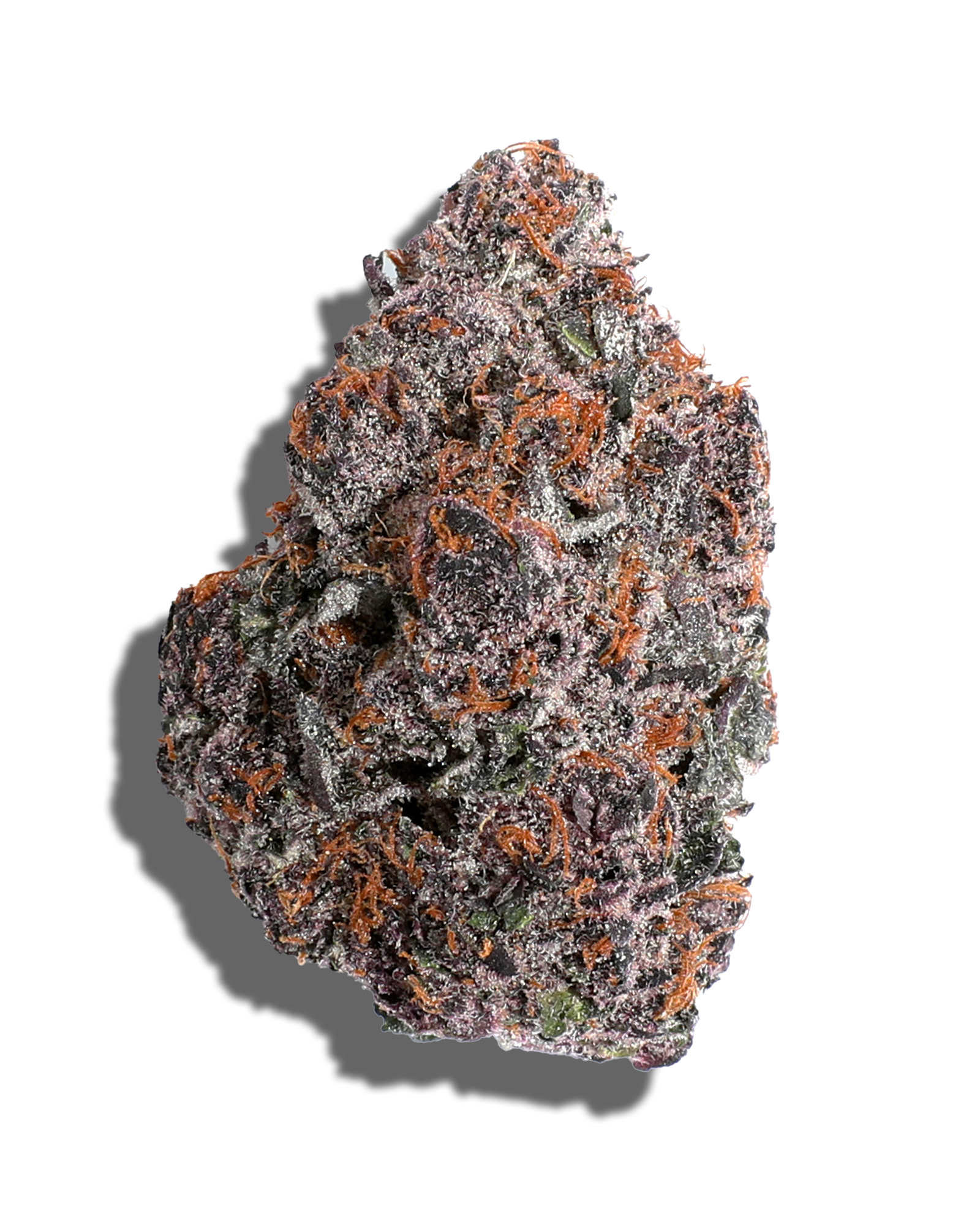 Halle Berry 3.5g, 1 of 3