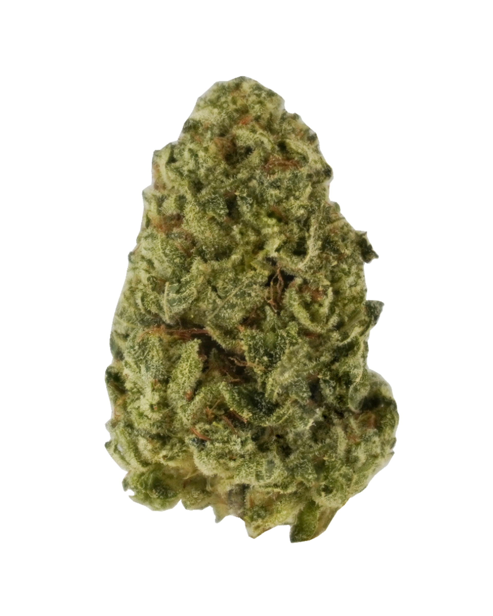Gooberry Flower