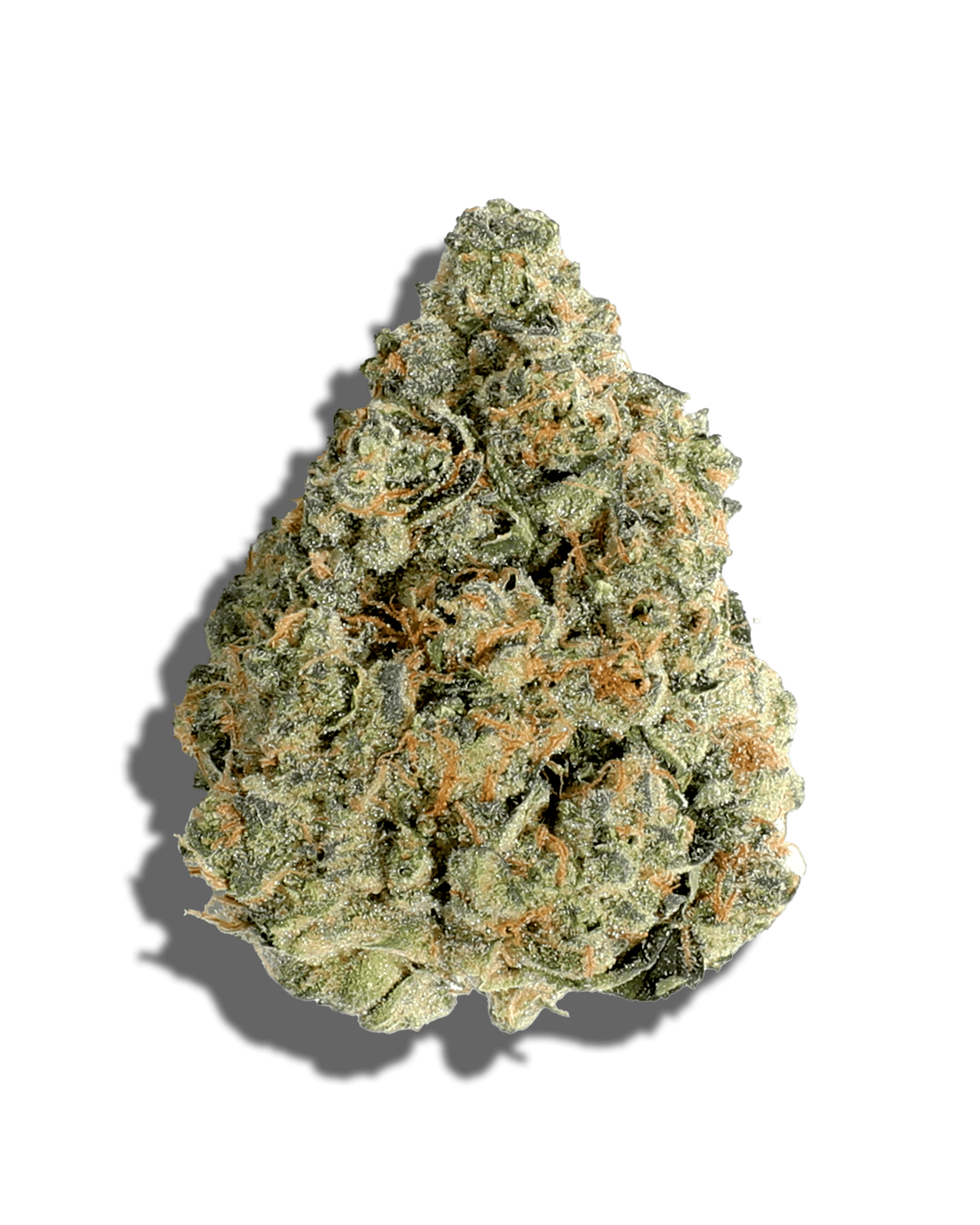 Deli - Frosted Jungle