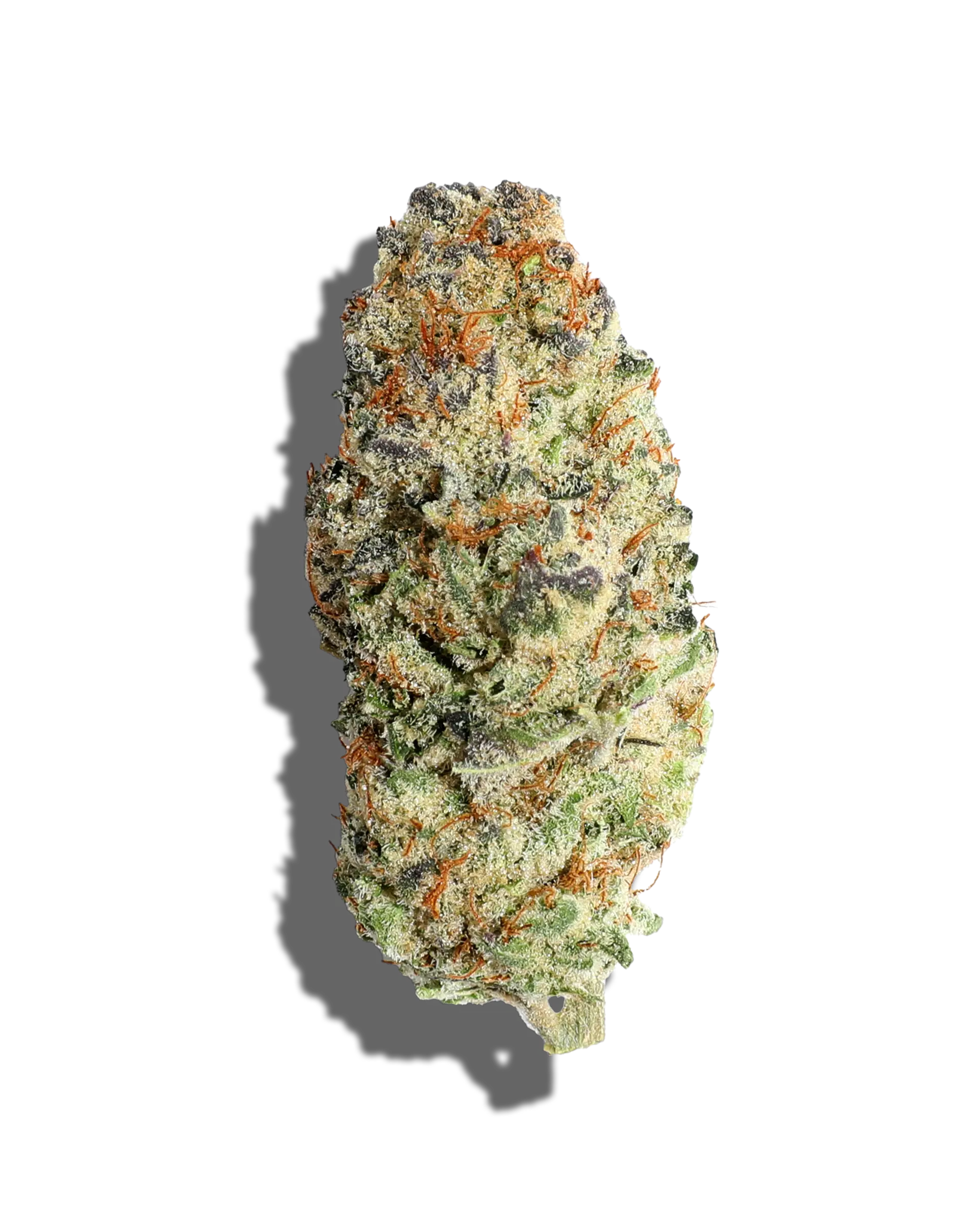 Dreamsicle Flower