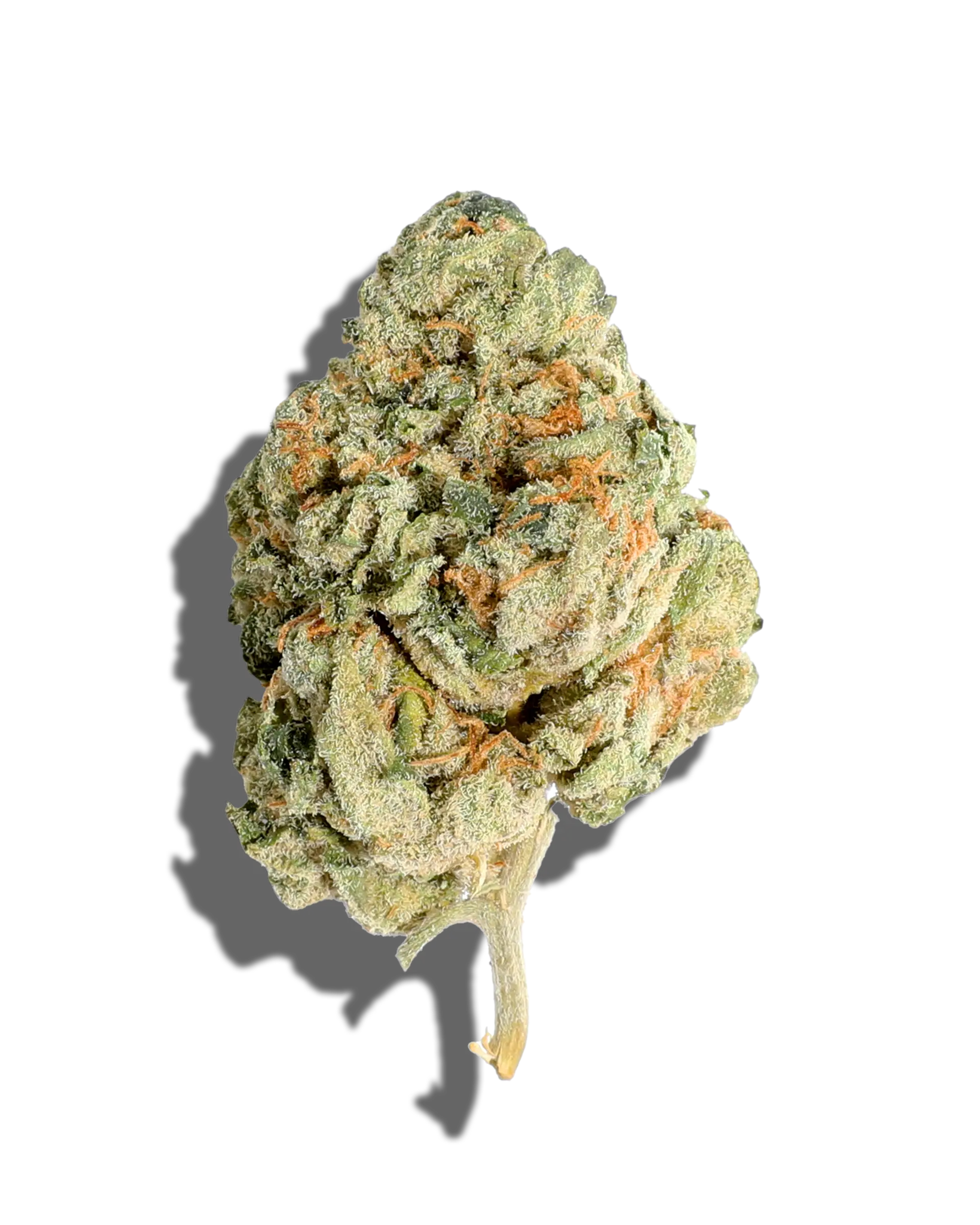 Frosted Gelato 3.5g