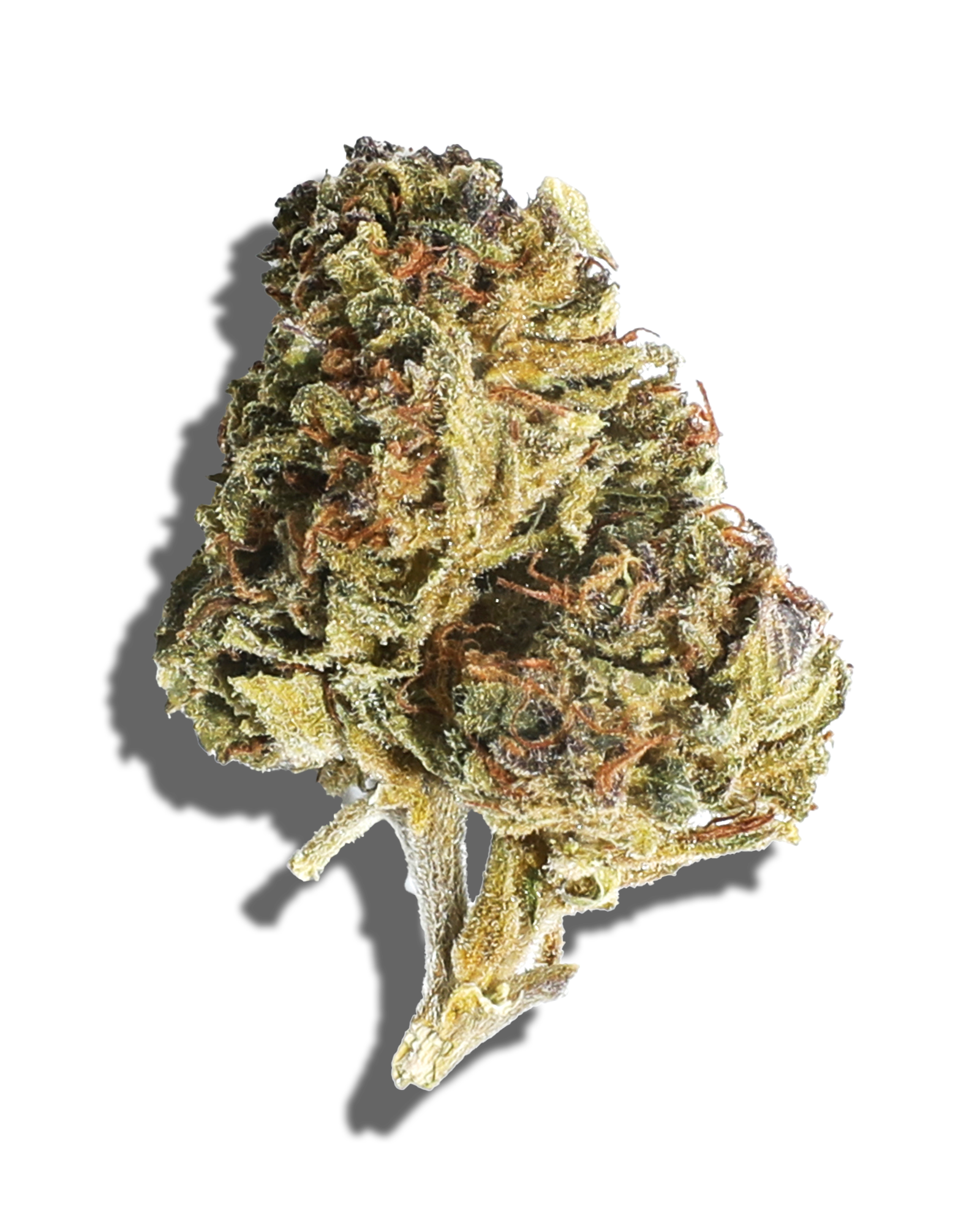 Sungrown Cereal Milk 1oz, 1 of 2