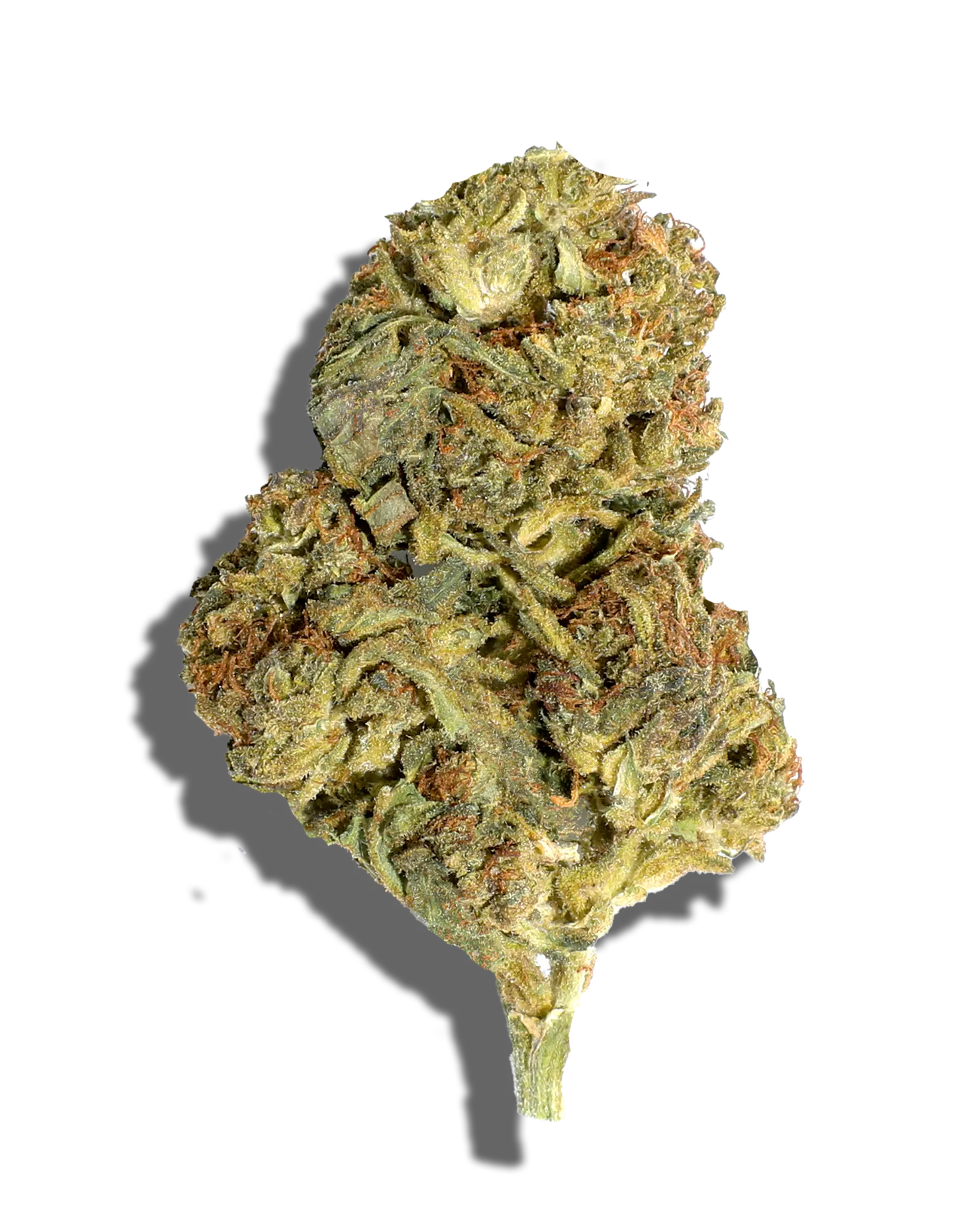 Sungrown Chocolope 1oz