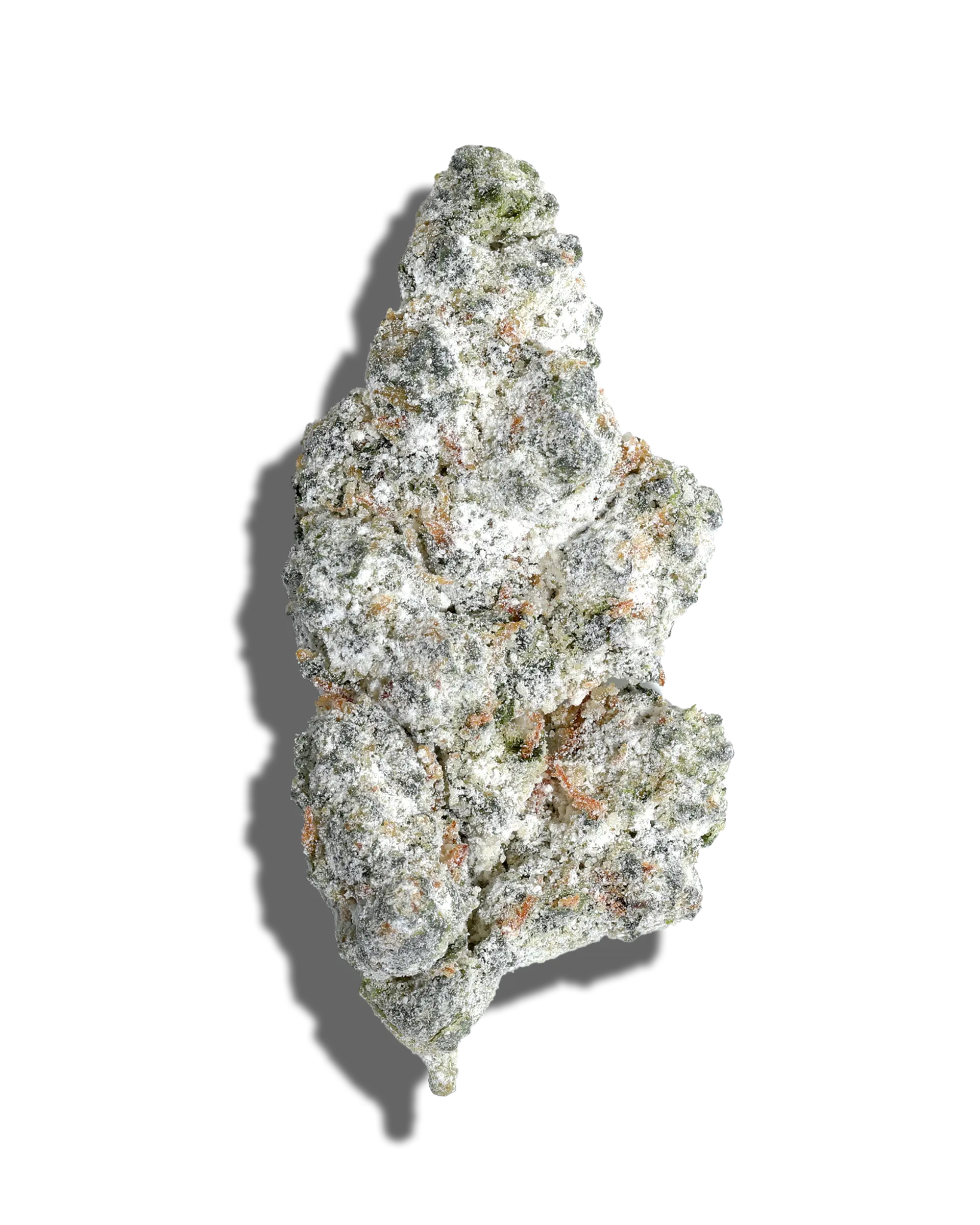 GMO Cookies X Rainbow Garlic Amp'd Live Resin Infused Flower 5g