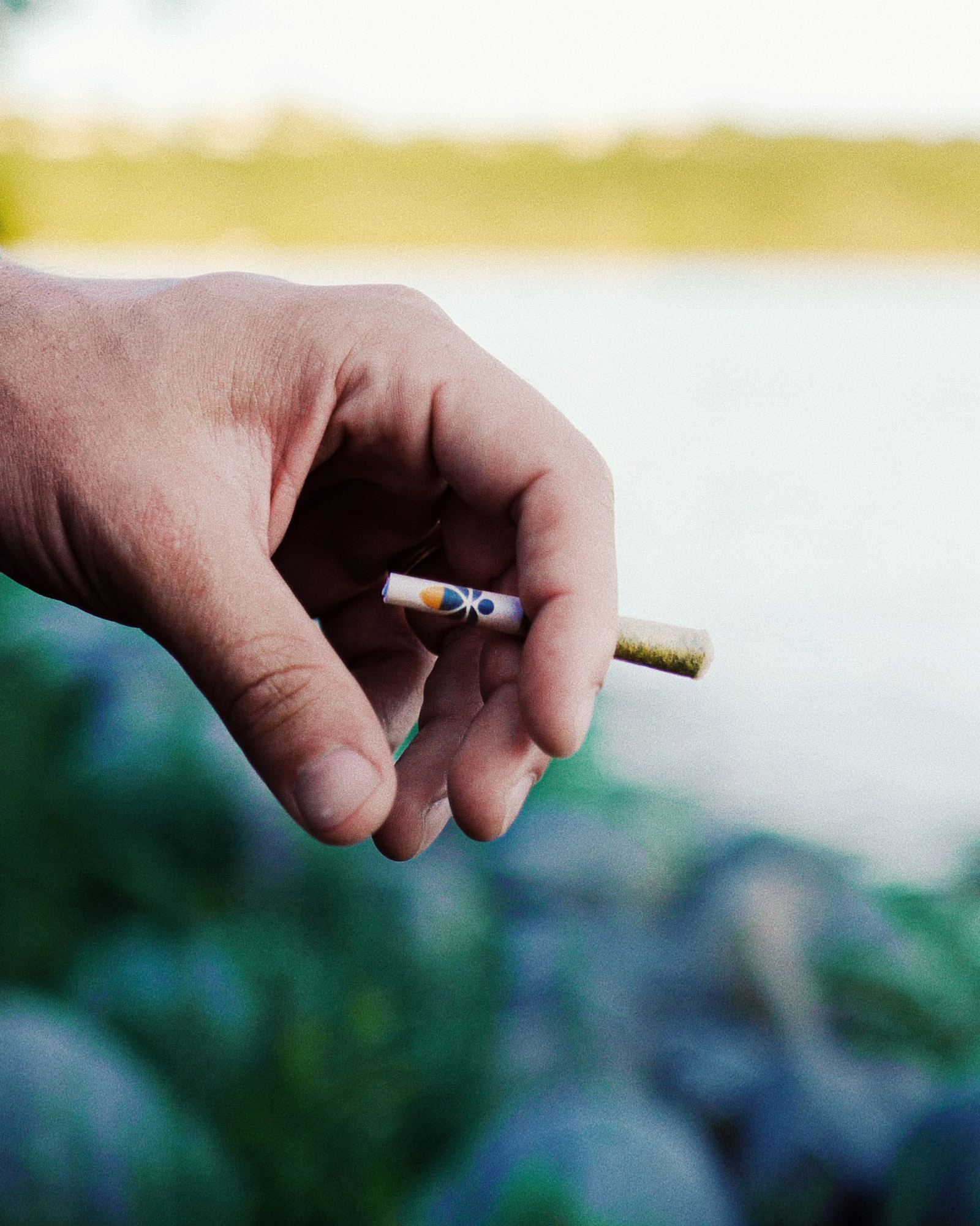 Jealousy Preroll 10-pack, 3 of 3