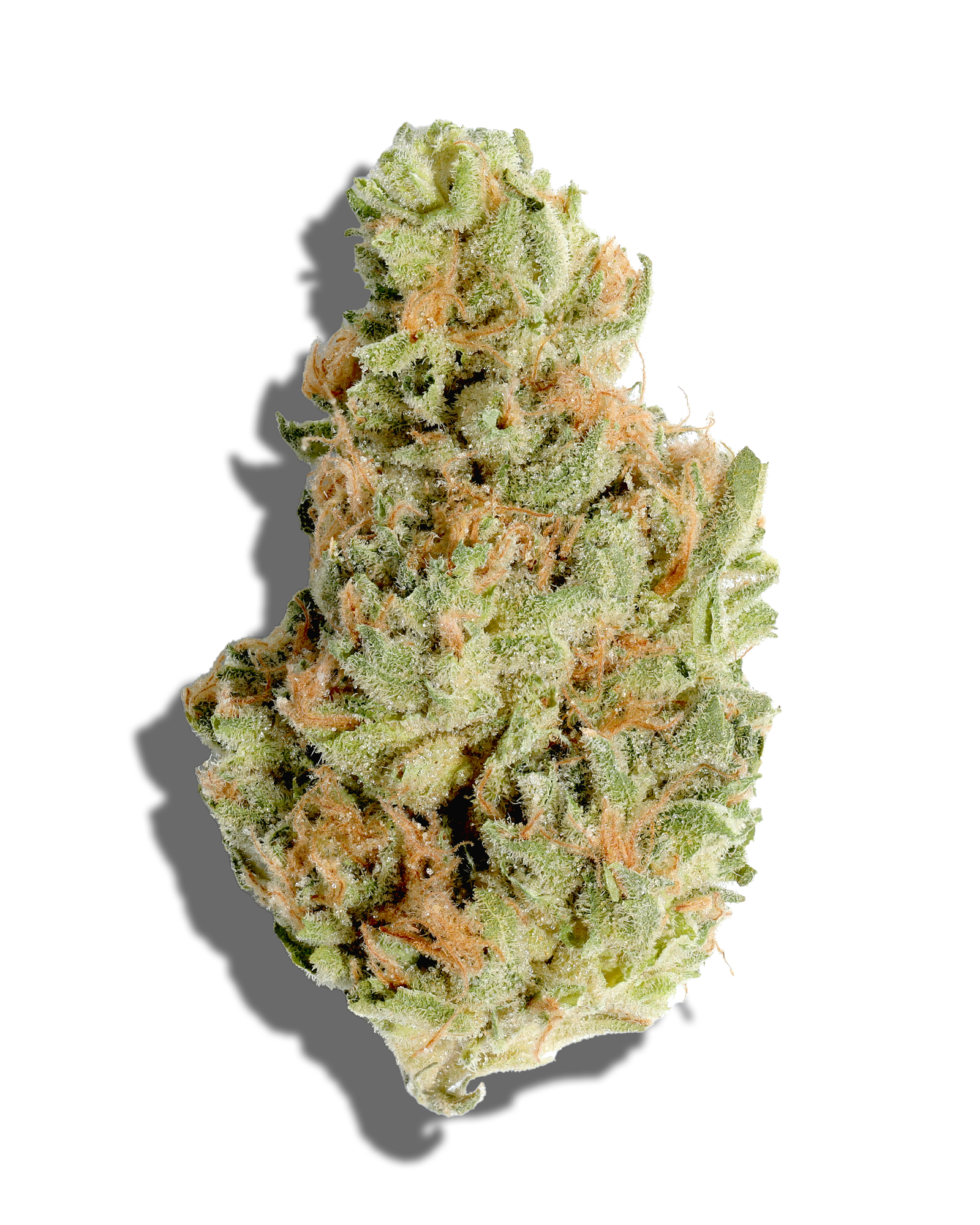 Rainbow Guava 1oz, 1 of 3