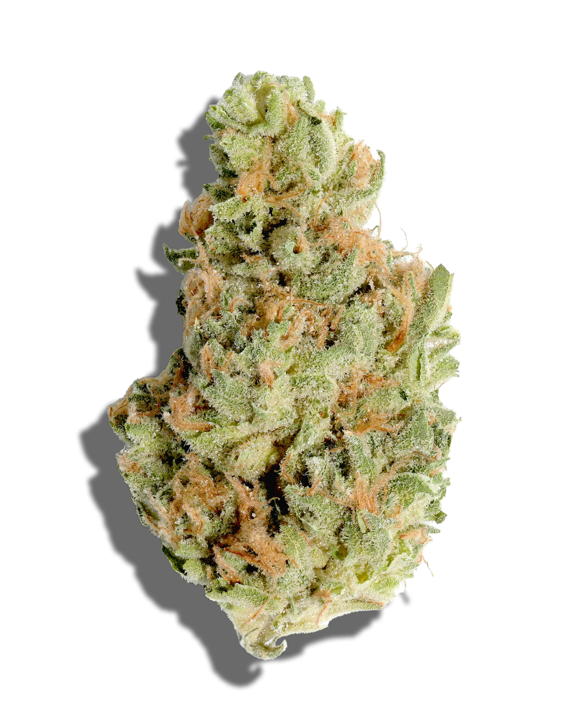 Rainbow Guava 1oz