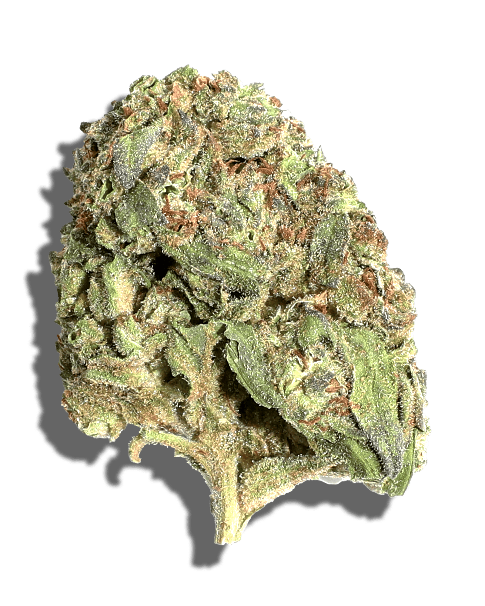 Sungrown Detroit Diesel 3.5g