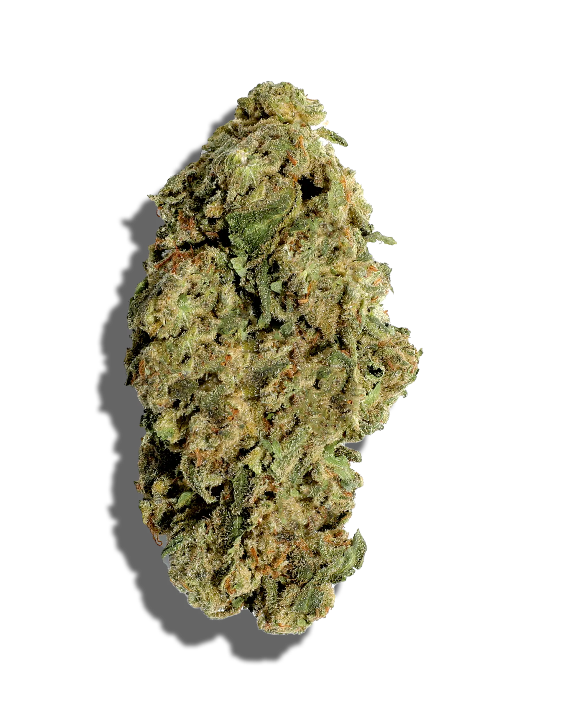 Sungrown Black Ice 3.5g