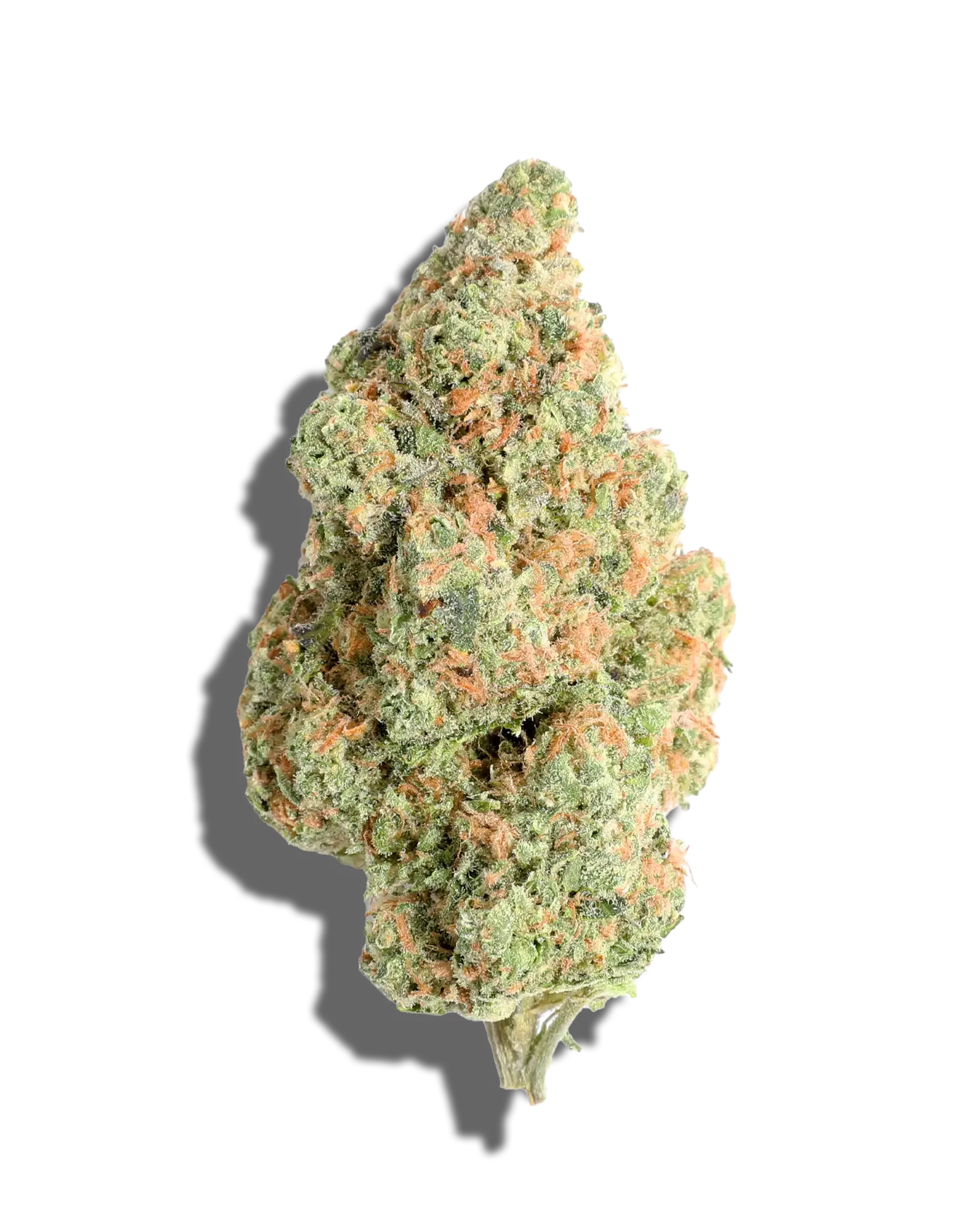 Tropic Diesel 3.5g
