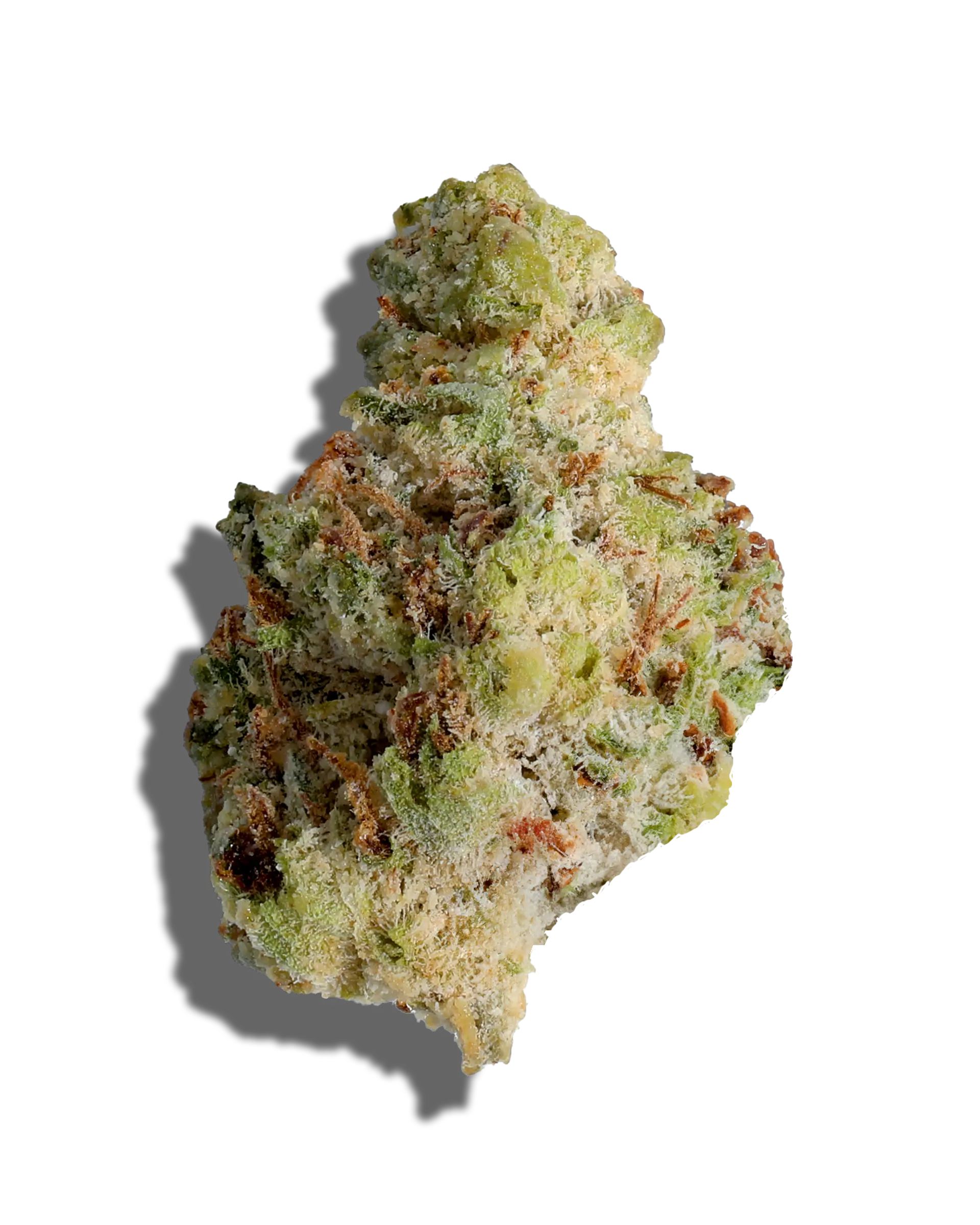 White X Tang Haze X Royal Highness Amp'd Live Resin Infused Flower 5g