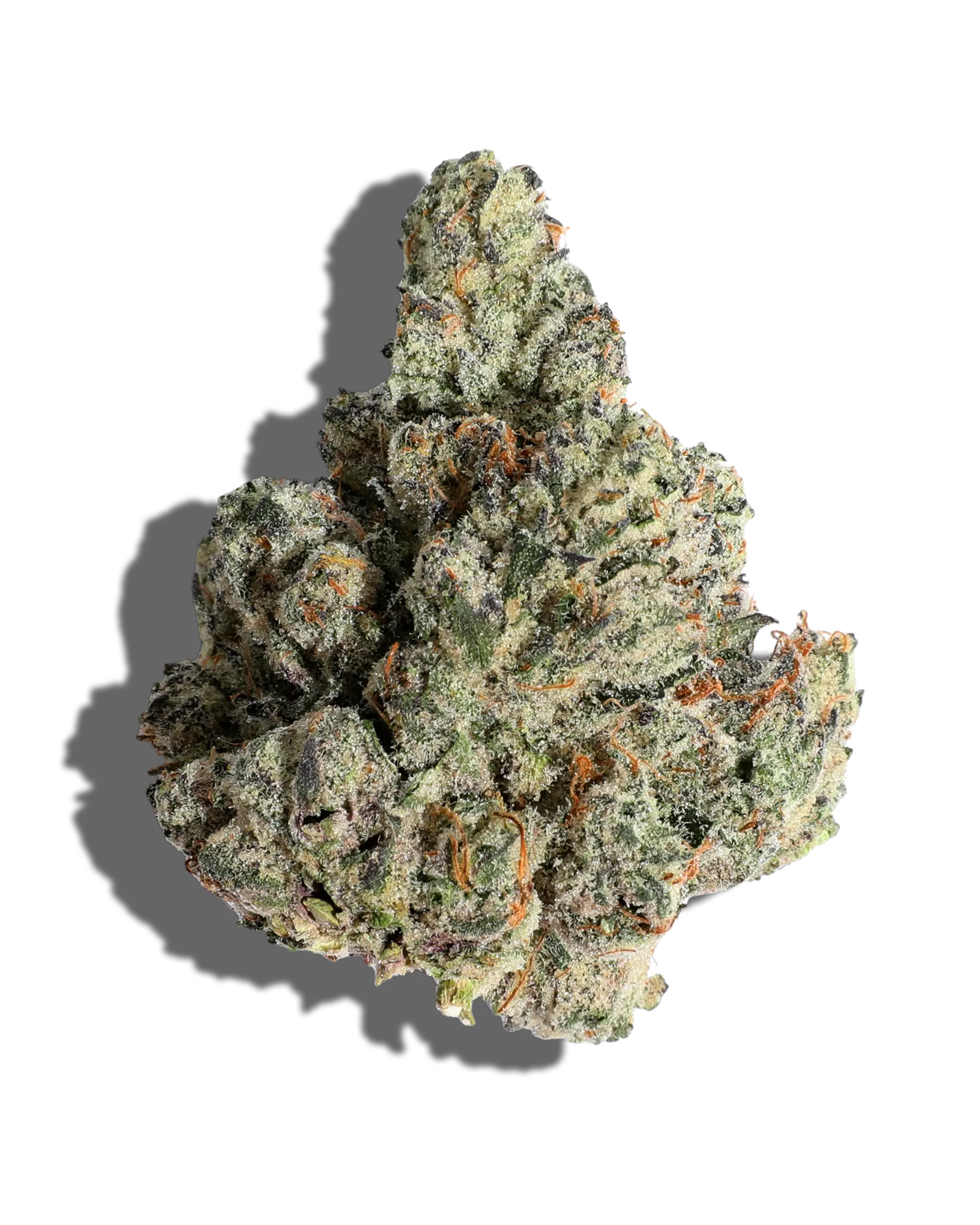 Boston Cream Candy 1oz