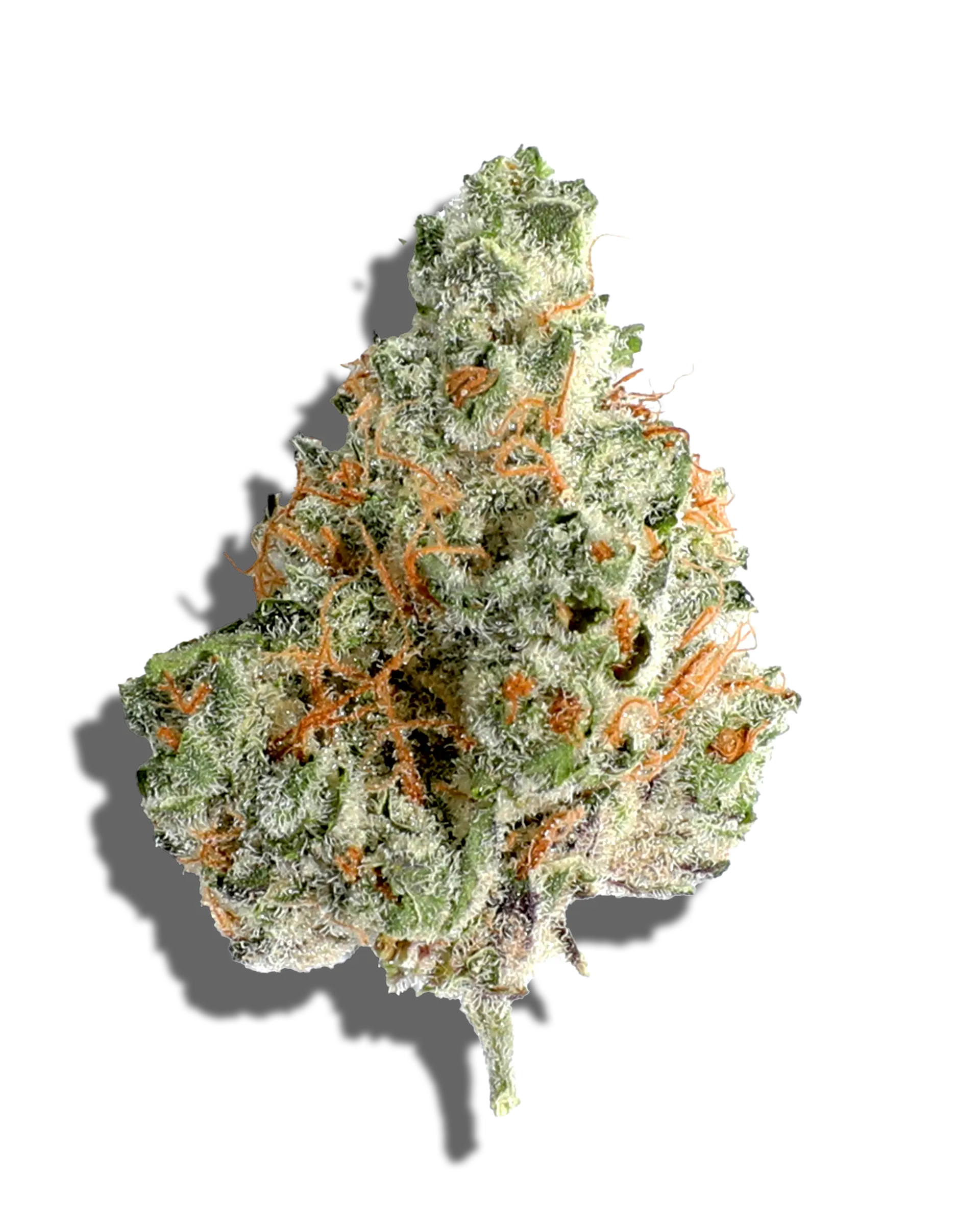 Zesty Parm 3.5g