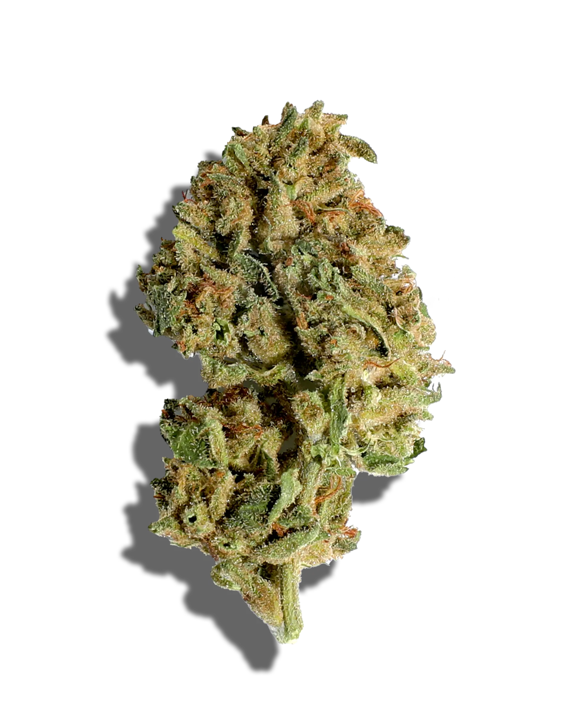 Sungrown Donny Burger 1oz