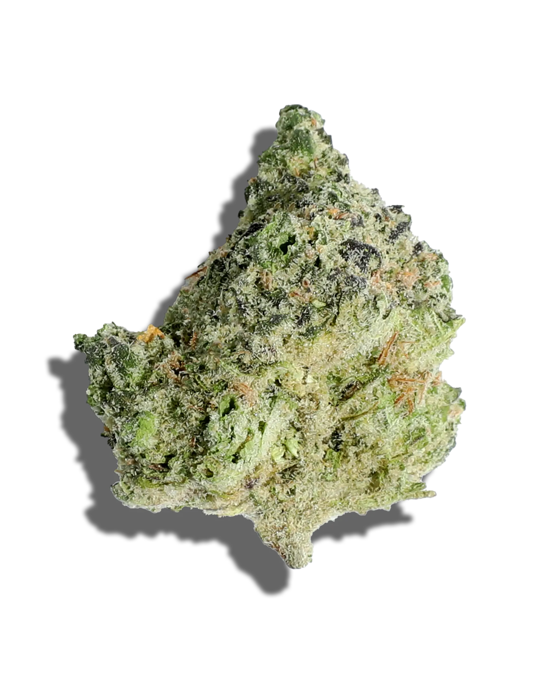 Blue Cherry Gelato 3.5g