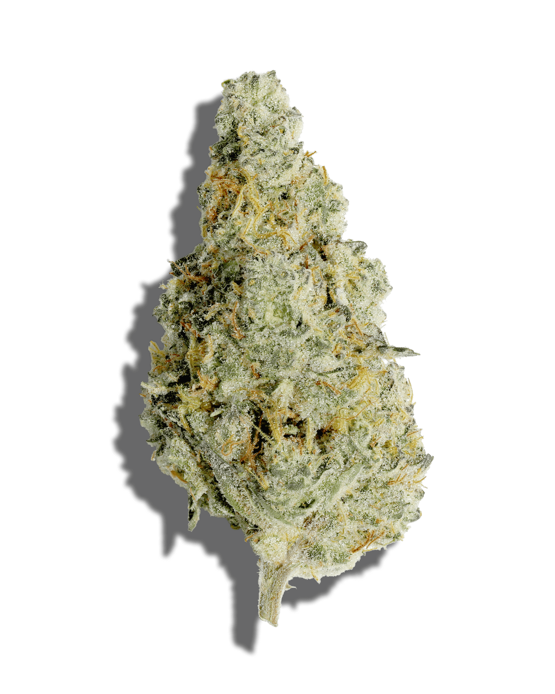 Garlic Crack 1oz