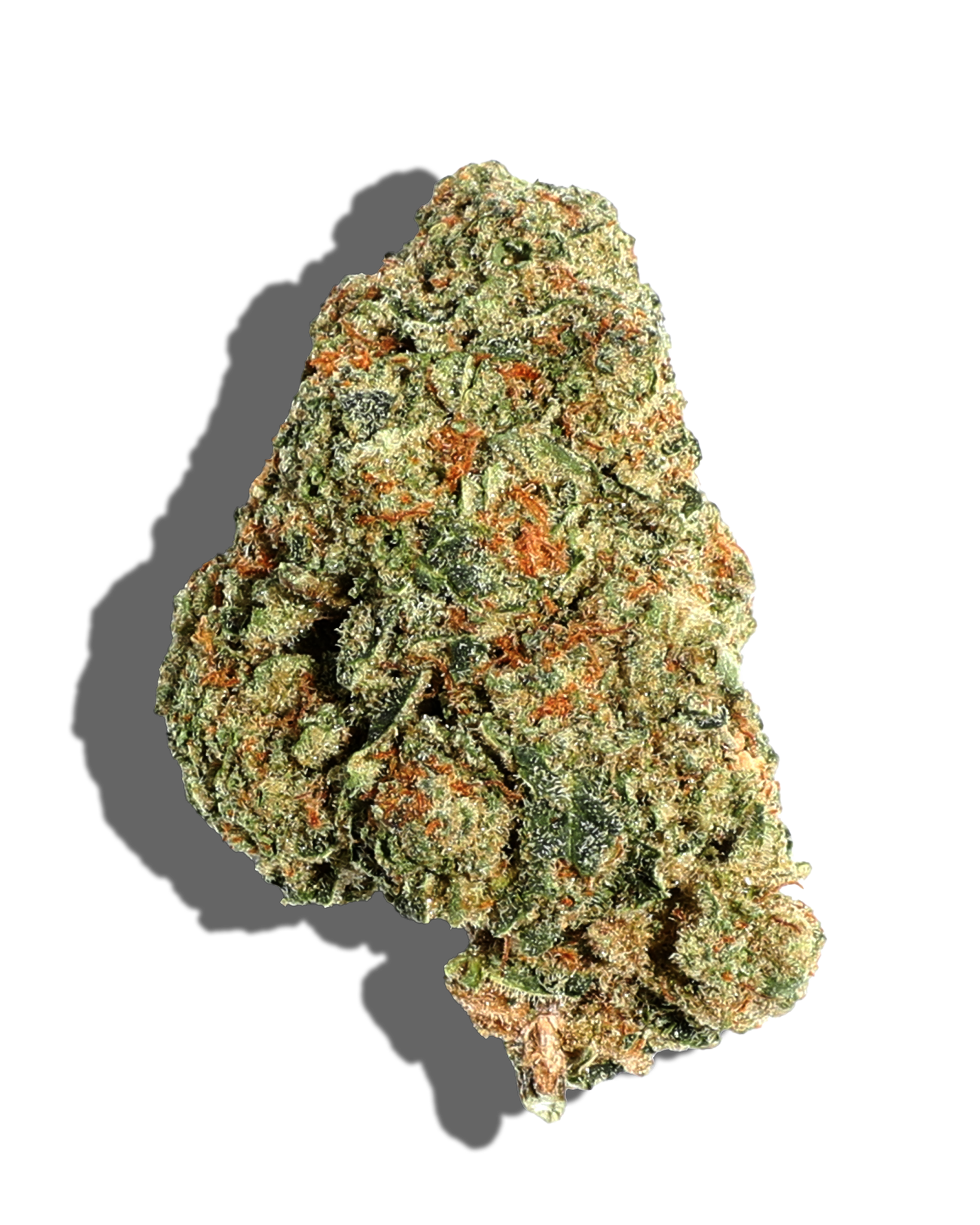 Mendocino Girl Crush #3 Flower