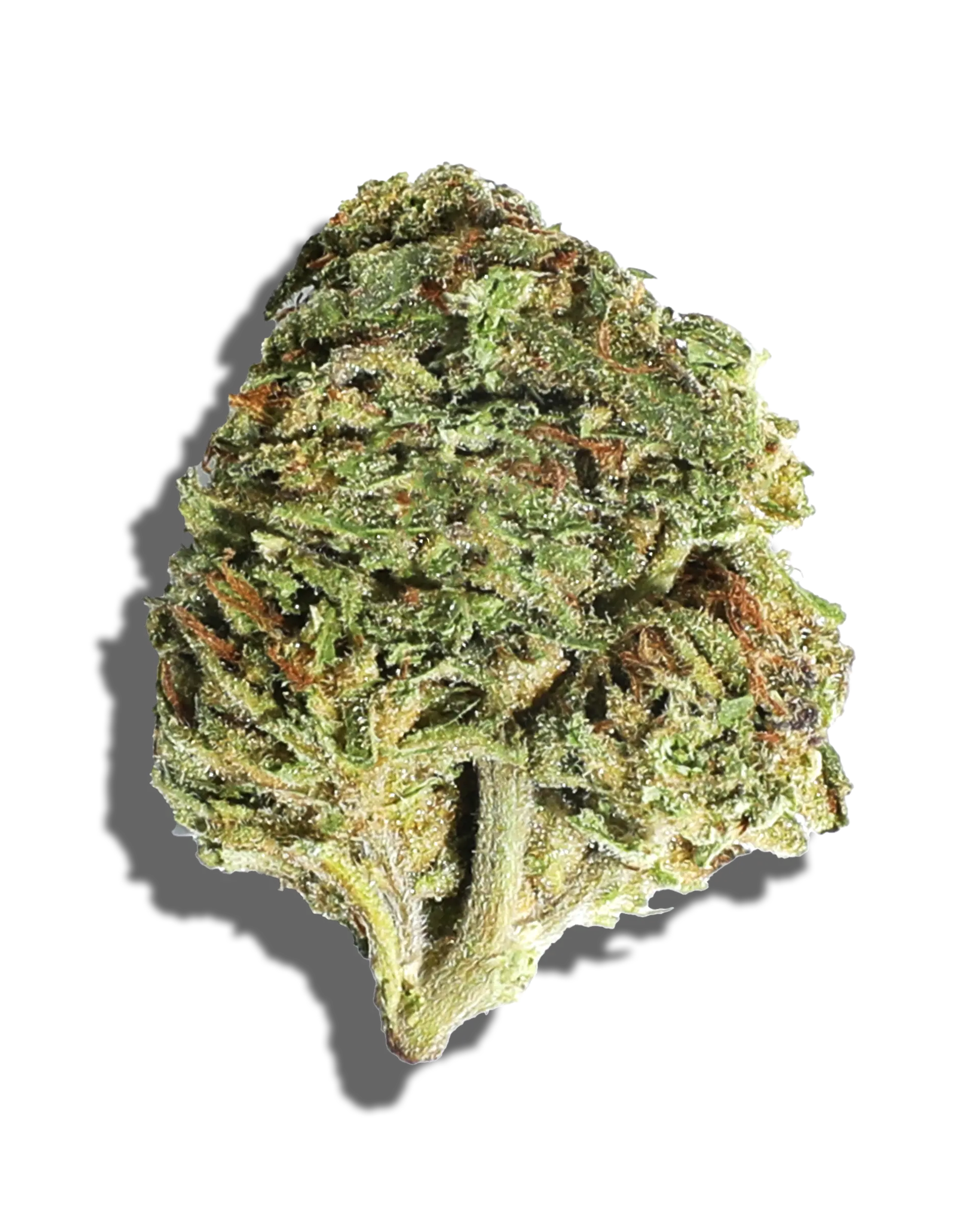 Sungrown Rainbow Chip 1oz