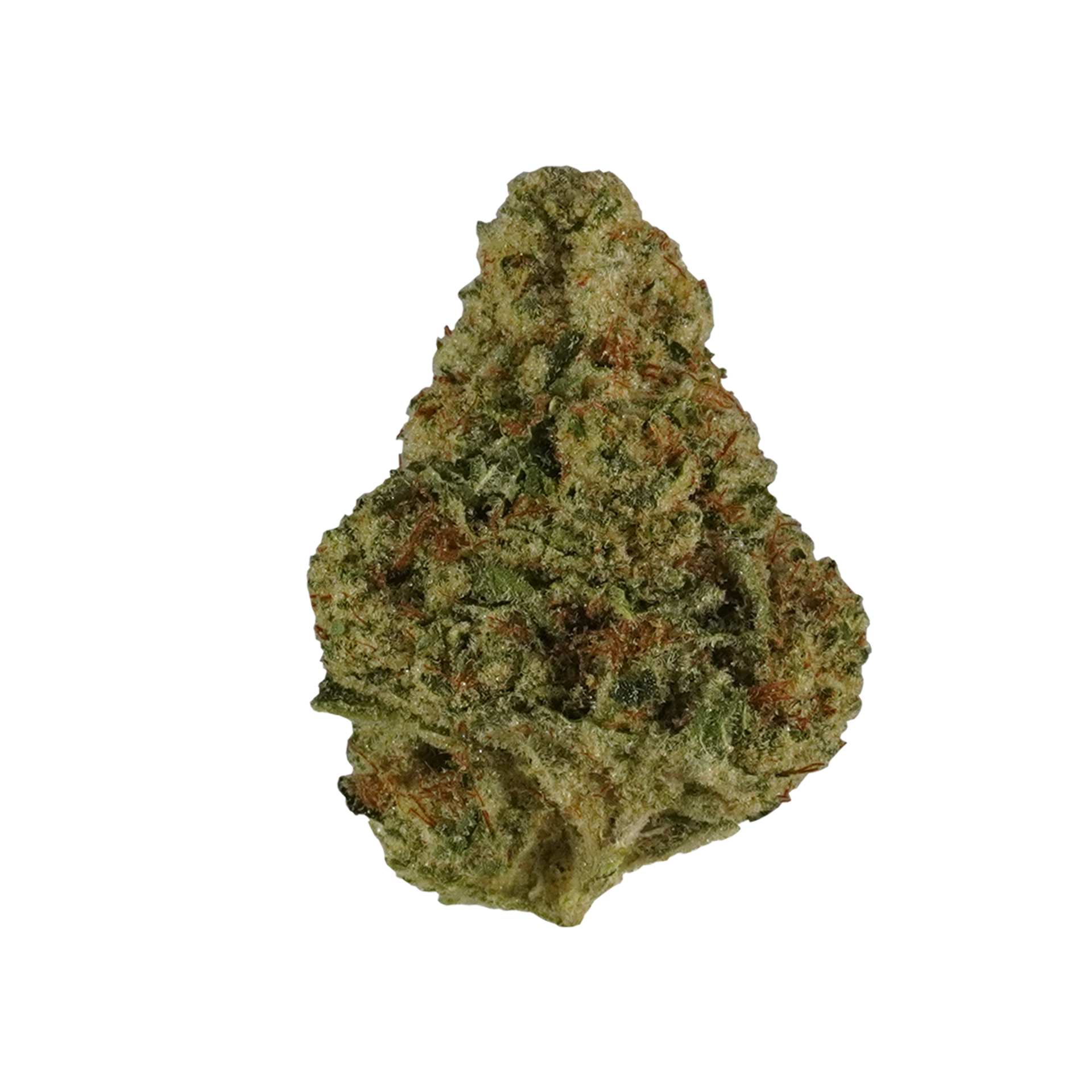 Motorbreath #15 Flower