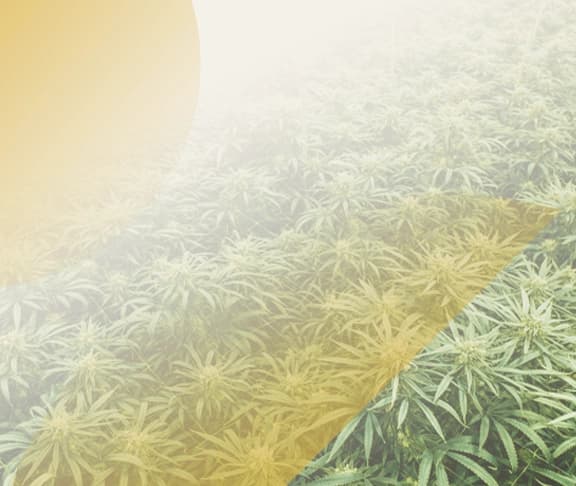 Ounces
Starting at $85