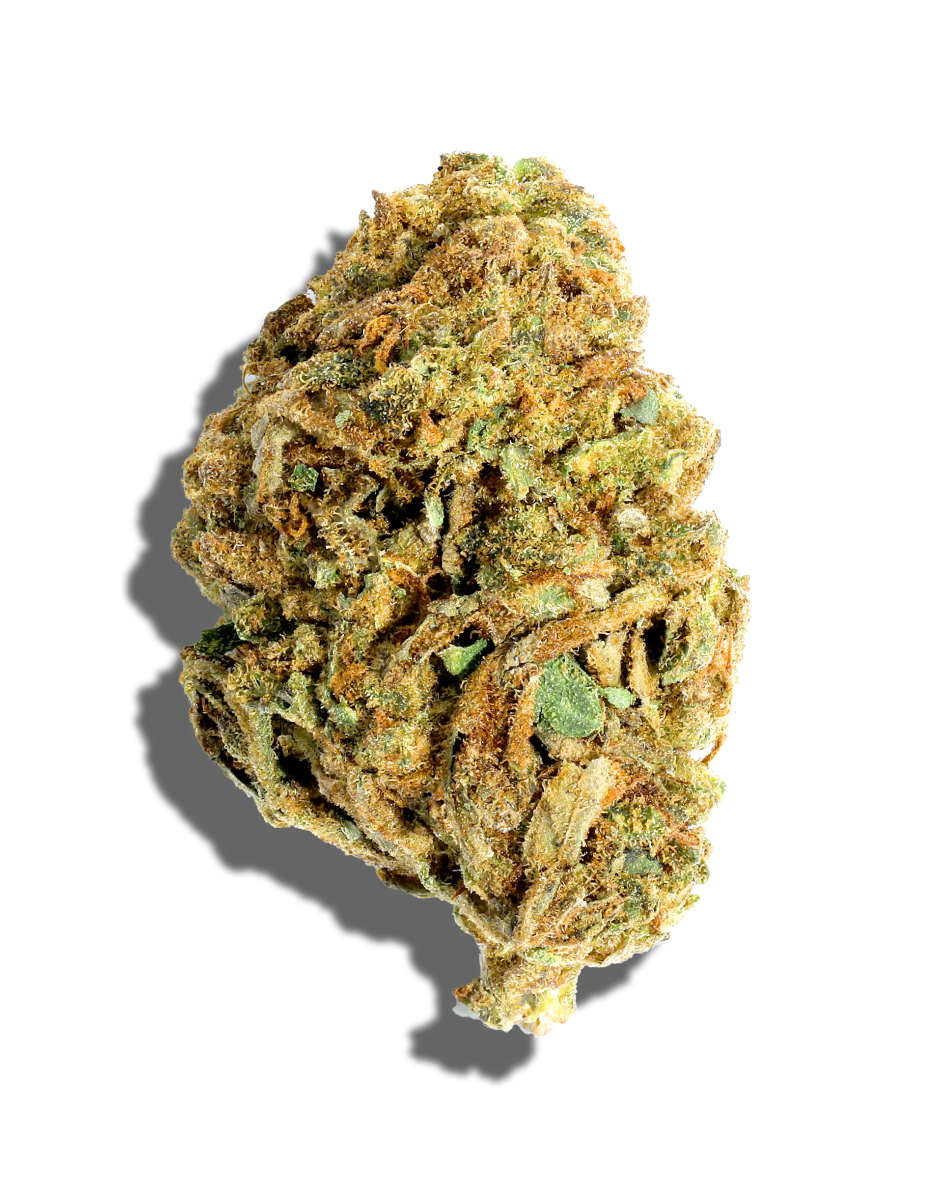 Sungrown Cassopolis Kush 3.5g