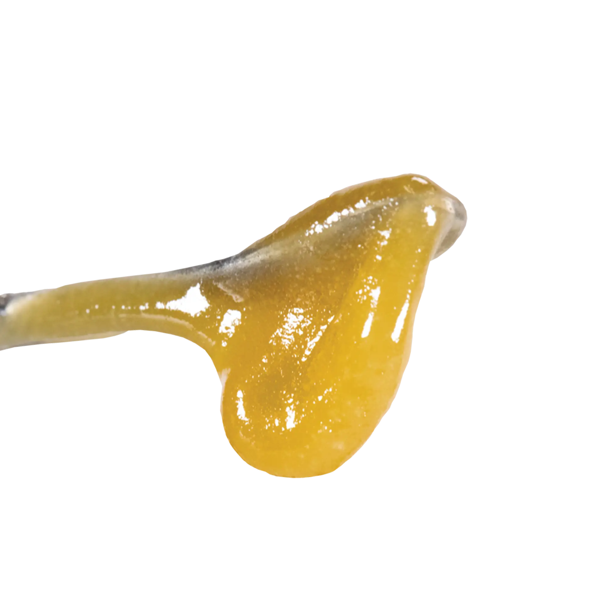 Orange Cream Live Rosin Jam Taster 1g