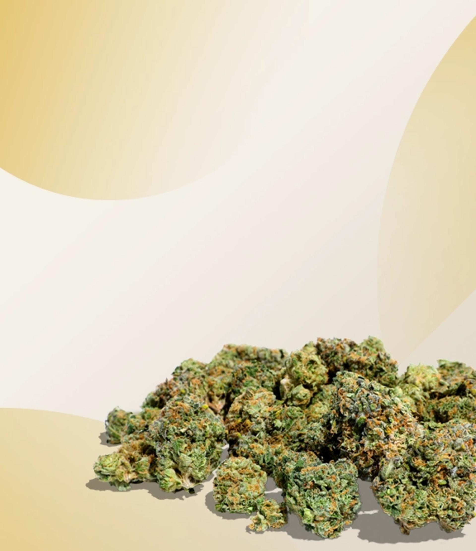Strain Spotlight