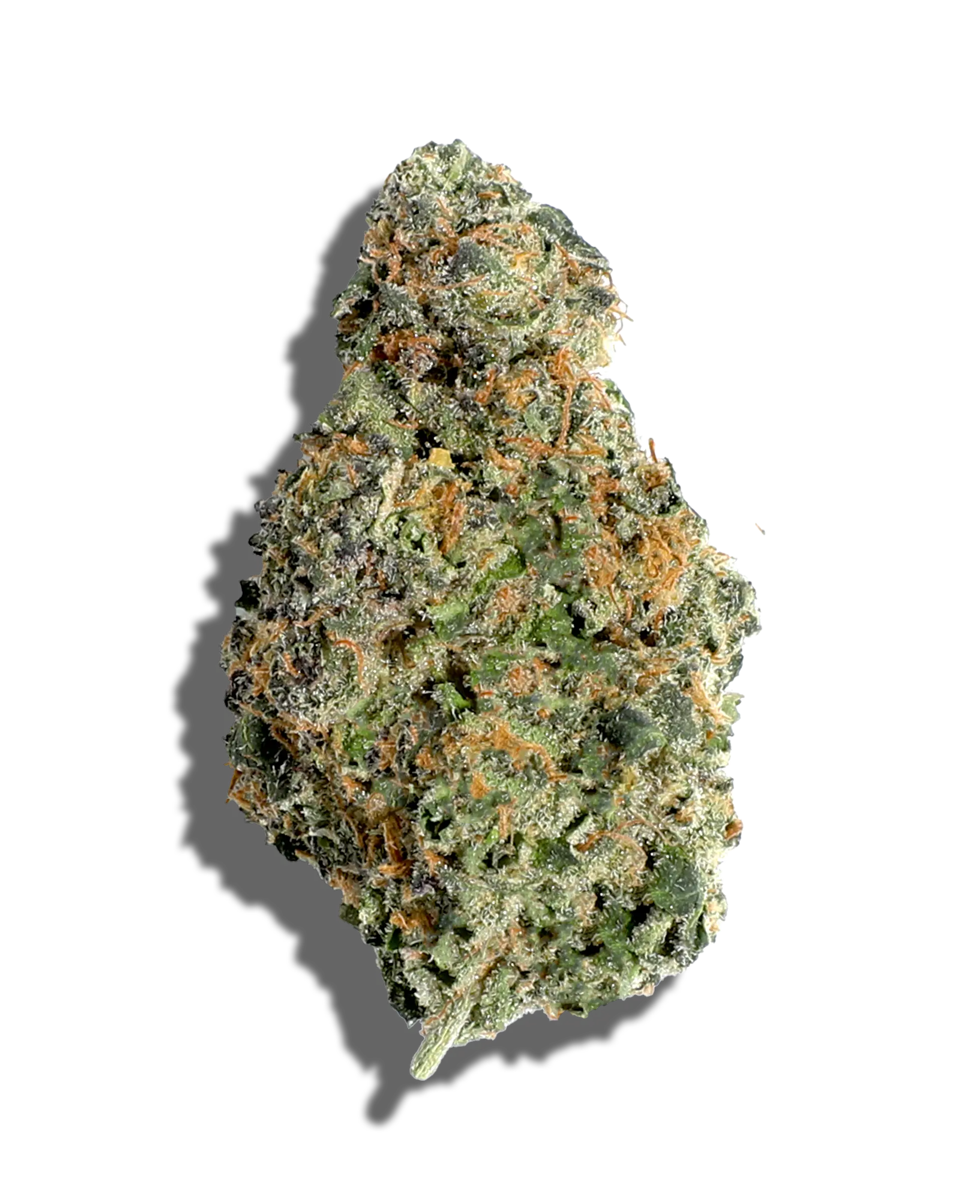 Sherbanger 3.5g