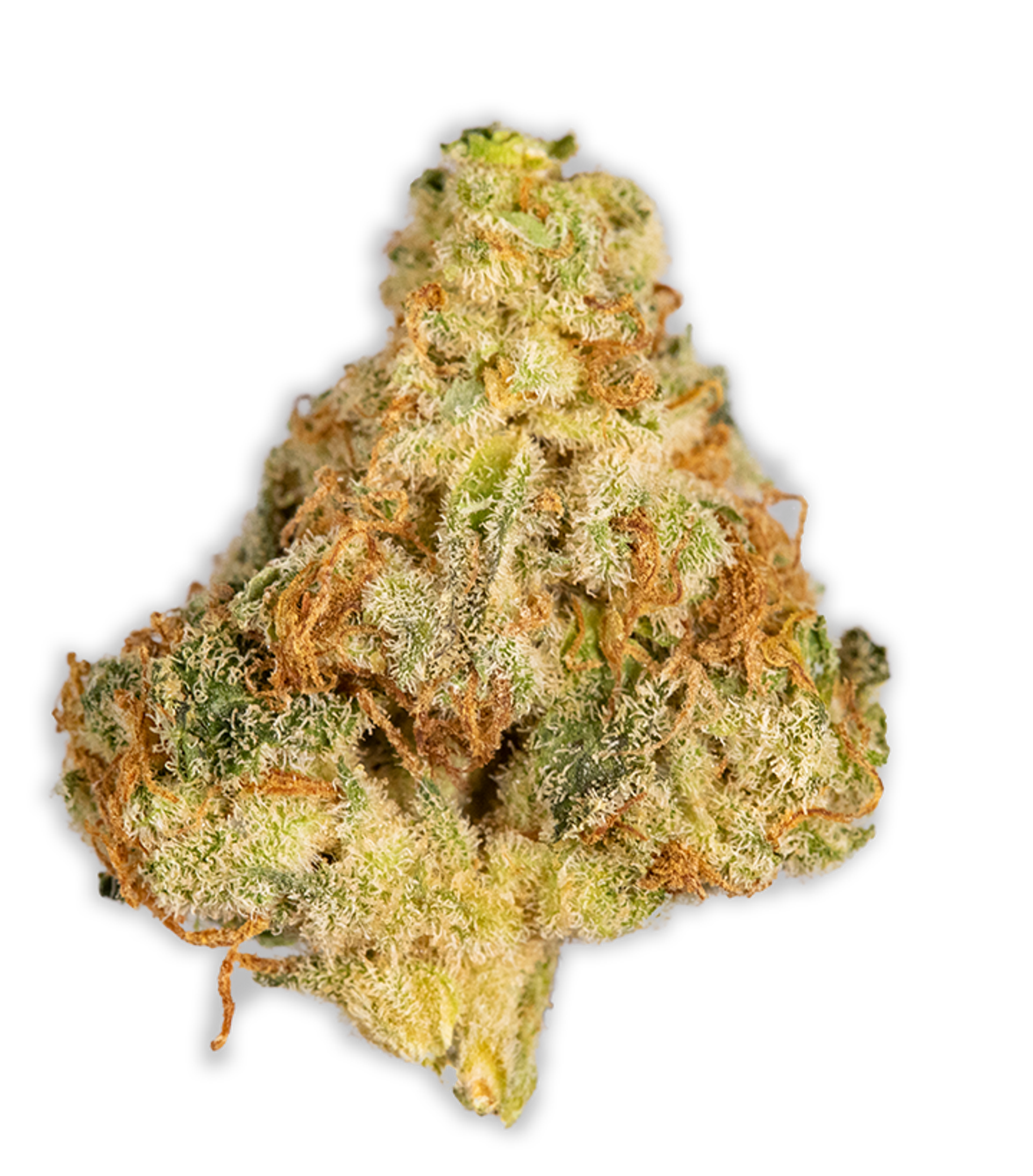 Citrus Sap Flower