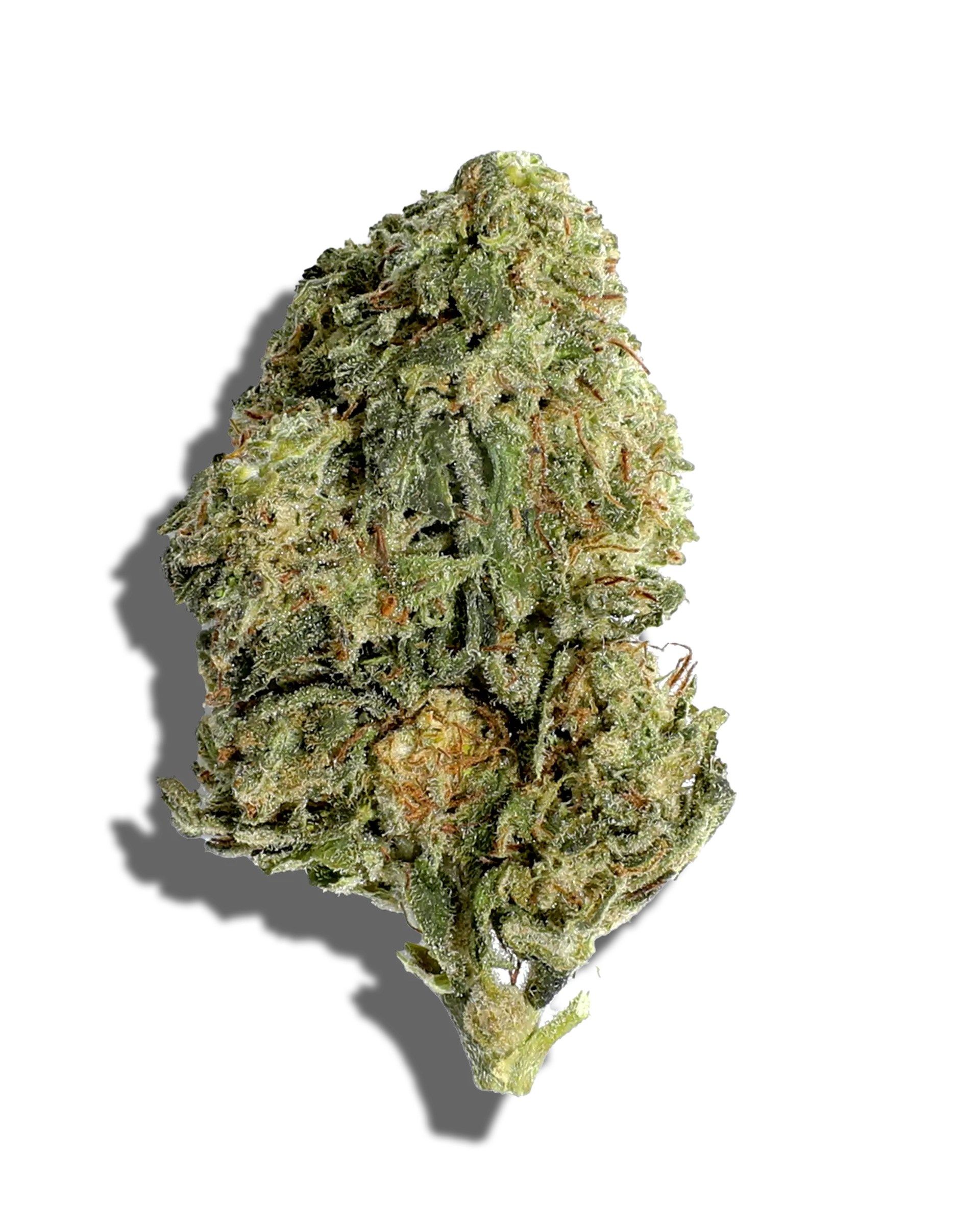 Sungrown Mango Tango 1oz