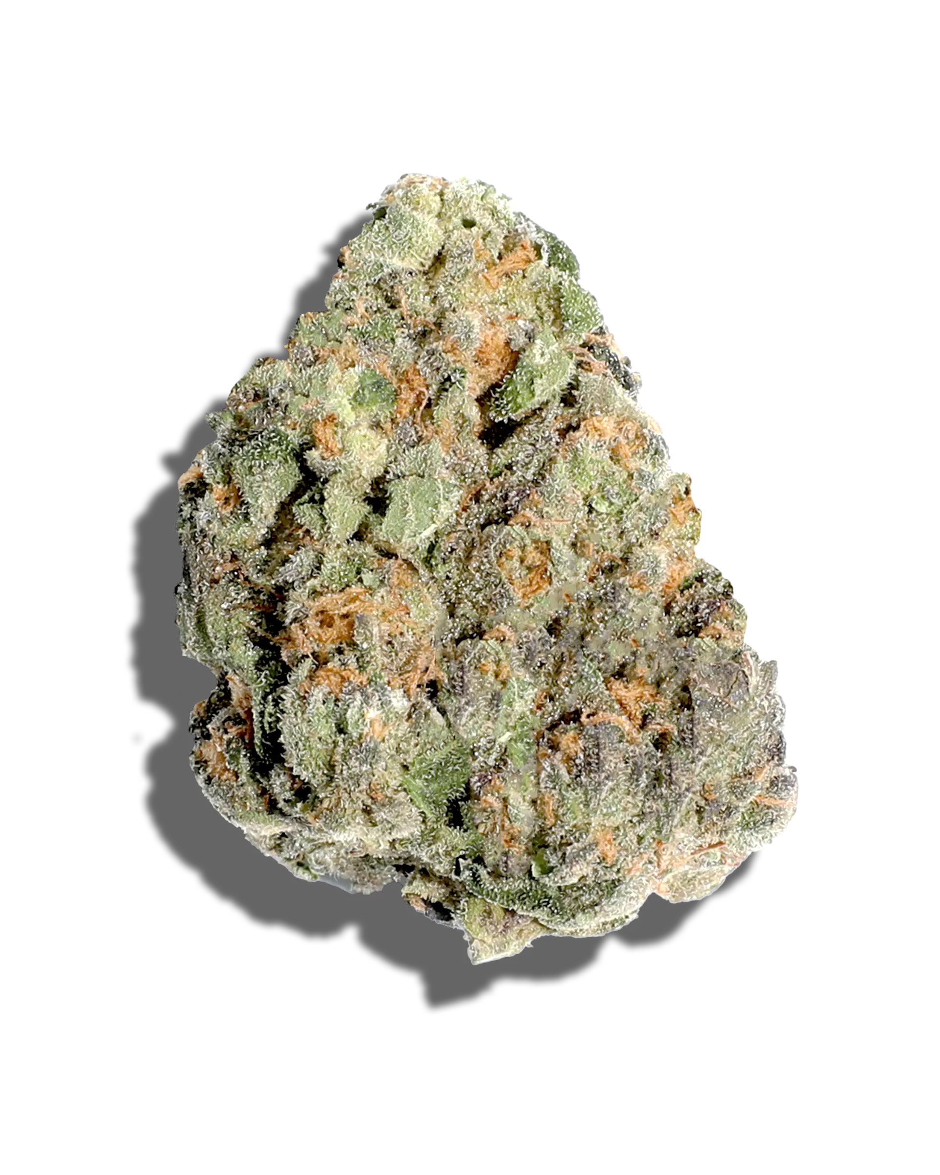 GMO Sherb Crasher 1oz