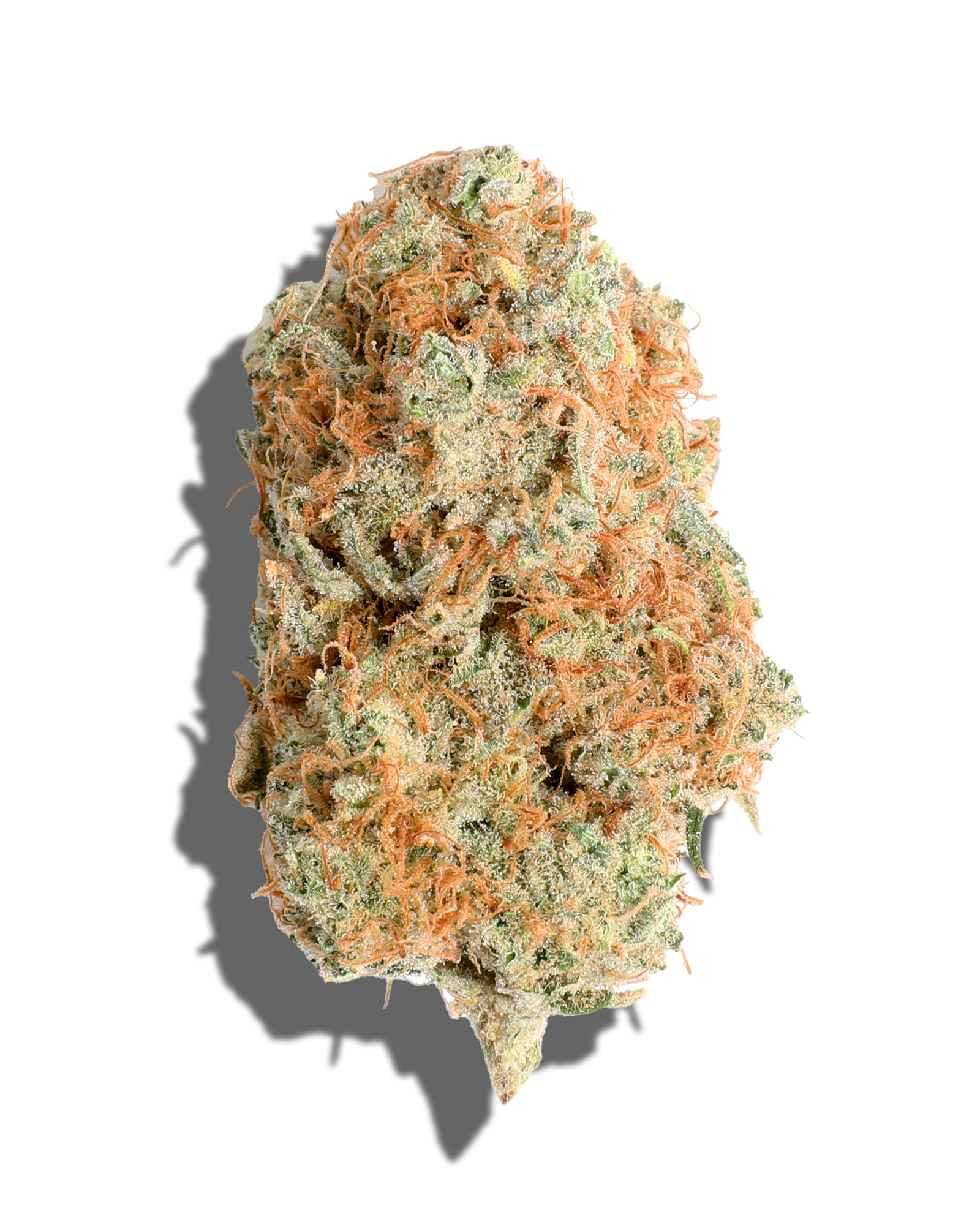 9 lb Hammer aka 9 Pound Hammer Nine Pound Hammer Weed Strain Information   Leafly