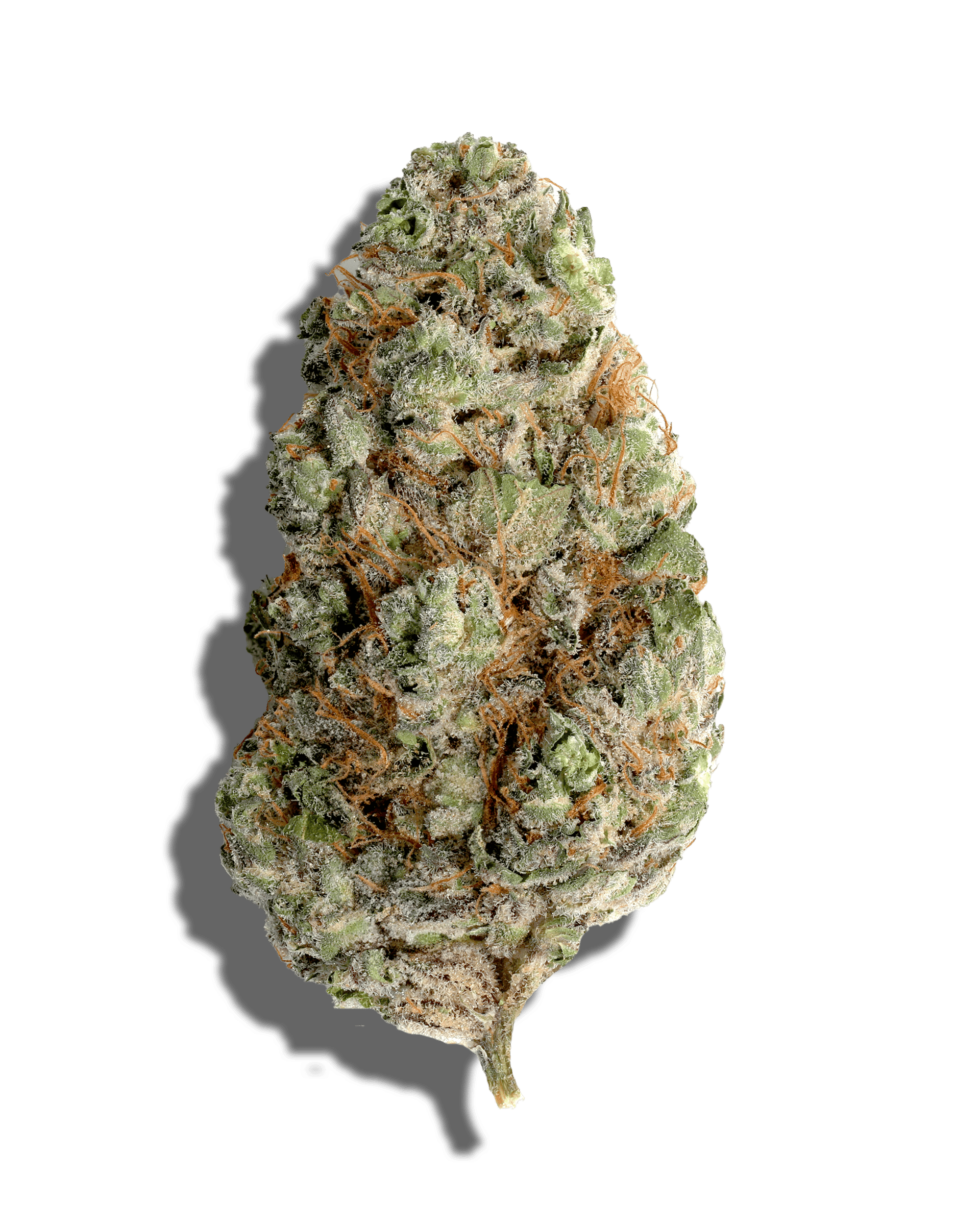 Purple Starfruit 3.5g