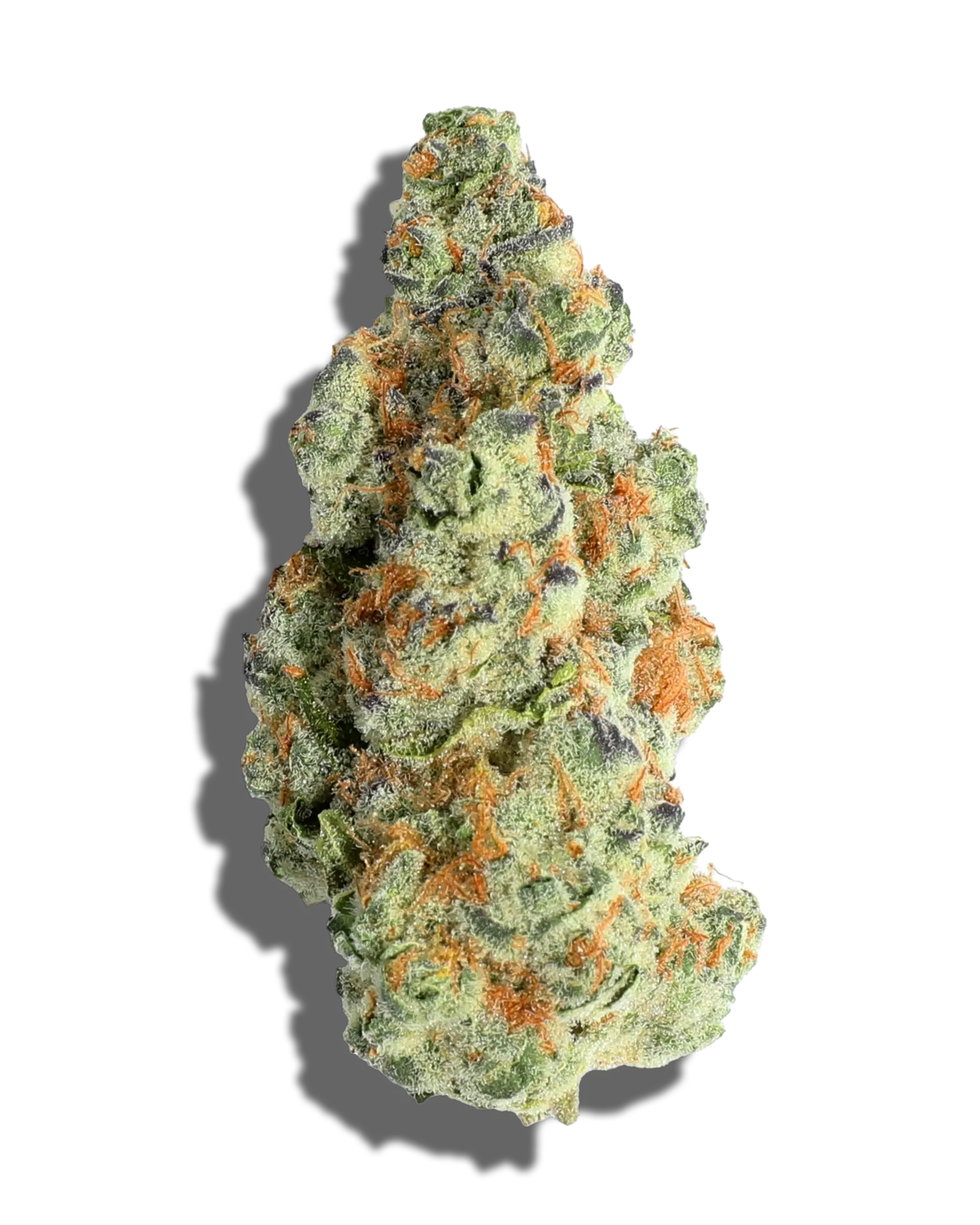 Gelato #2 1oz