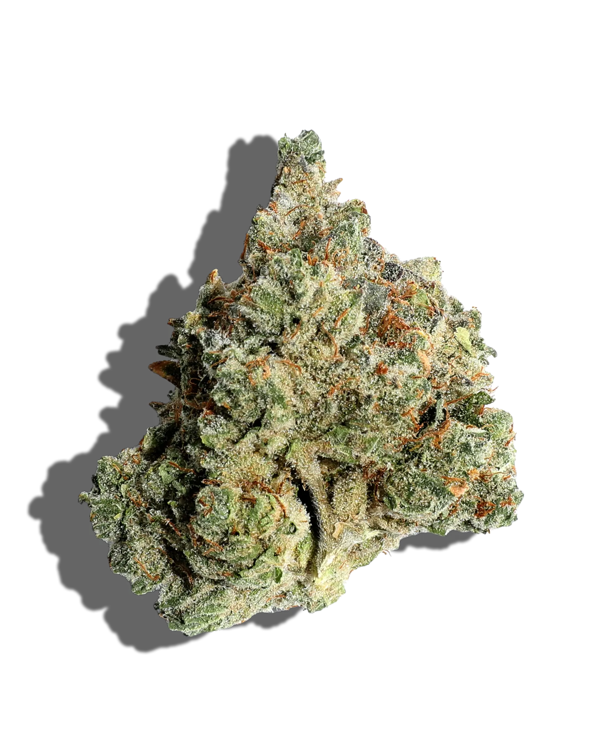 Bunz Flower
