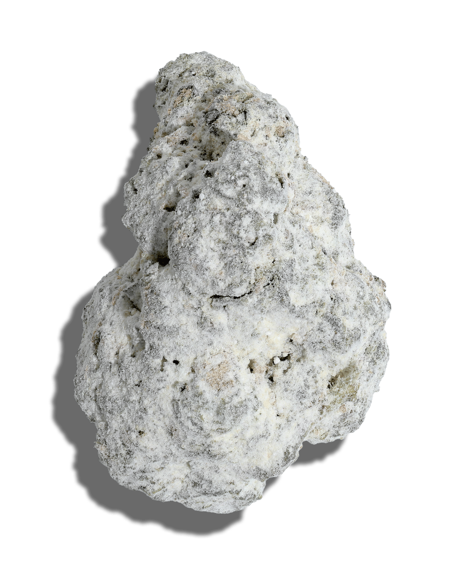 Dulce X Gopher Glue Amp'd Live Resin Infused Flower 5g