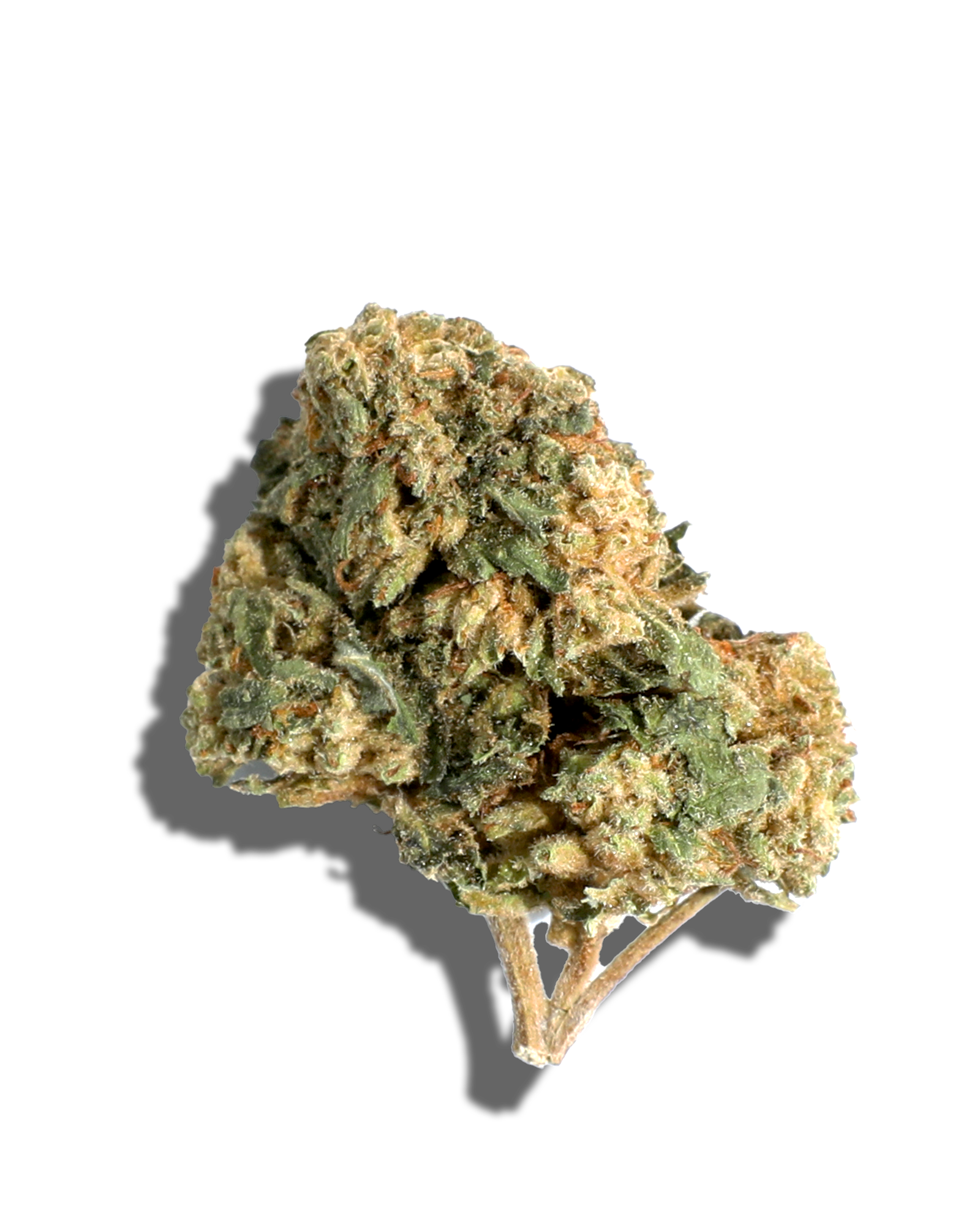 Sungrown Augustus Gloop 1oz, 1 of 3