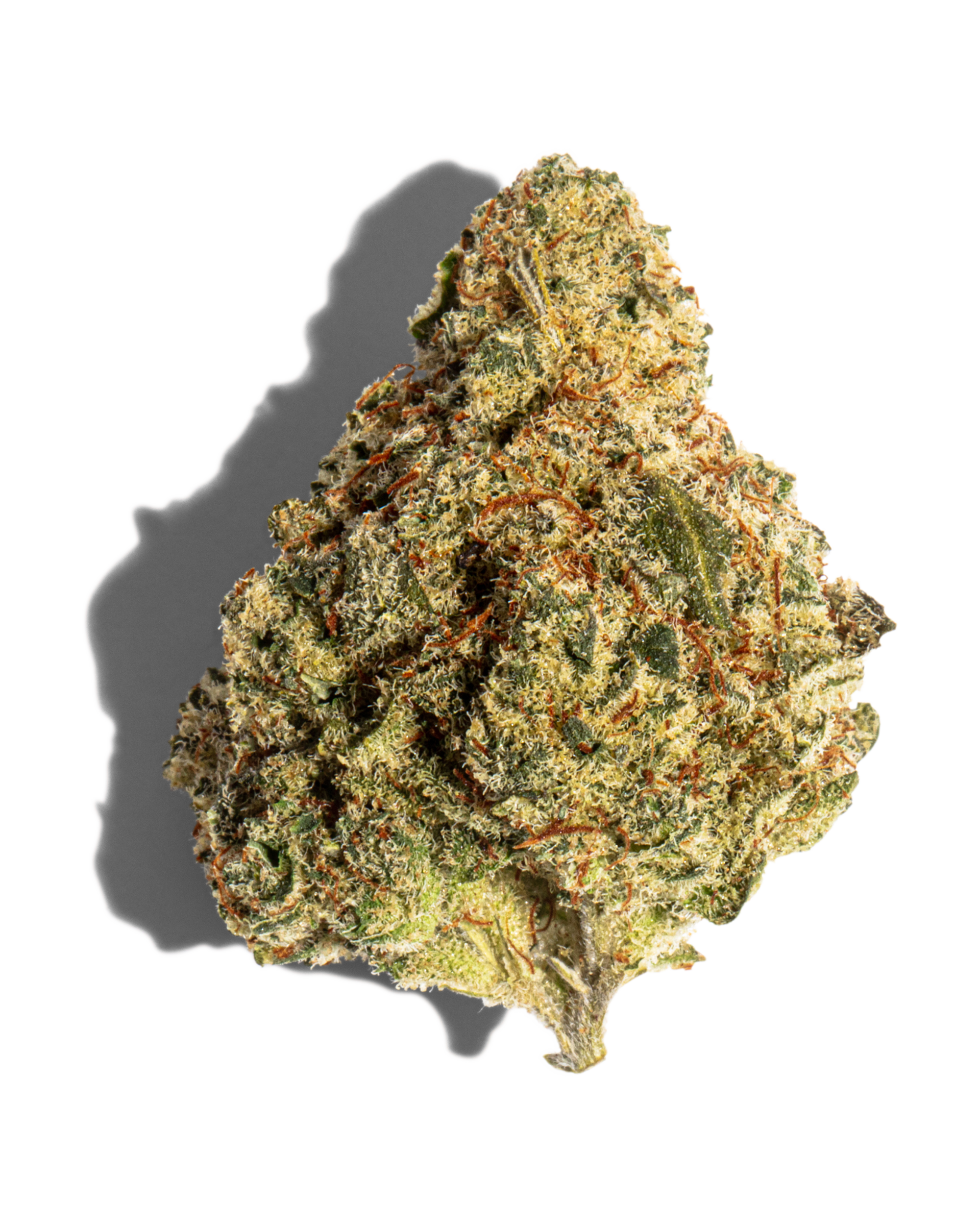 Johnny 5 Flower